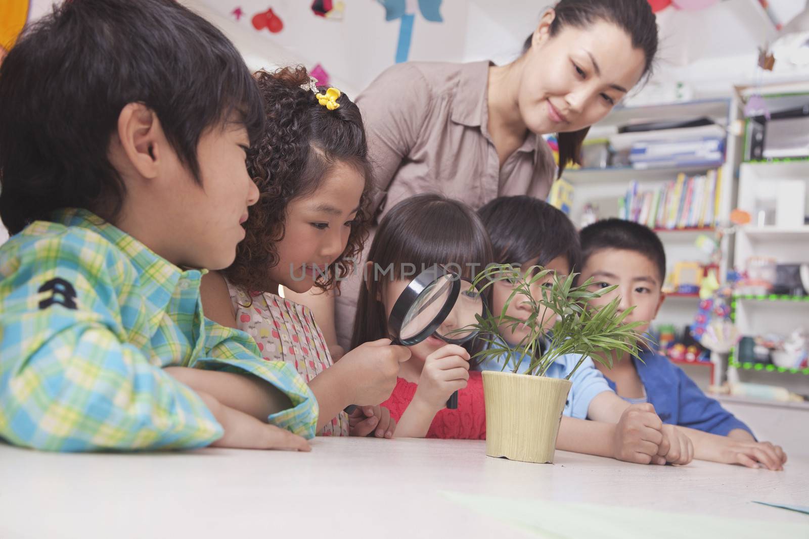 Students Looking at Plant with a Magnifying Glass by XiXinXing