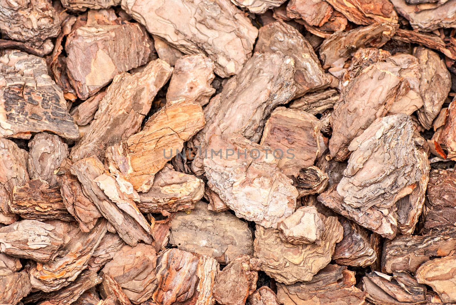 Background of pine bark nuggets layer used for gardening by Zhukow