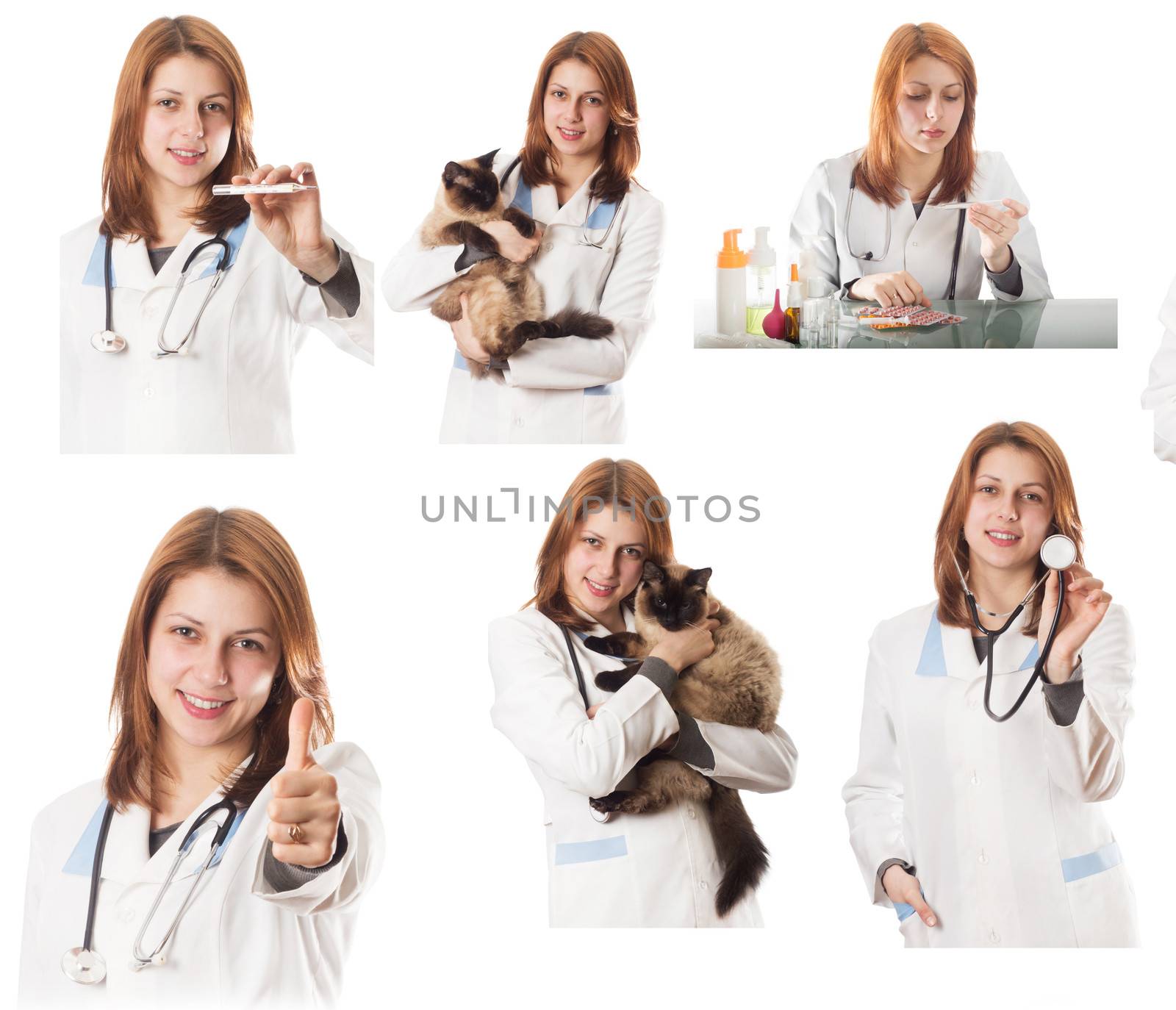 Veterinary doctor by gurin_oleksandr
