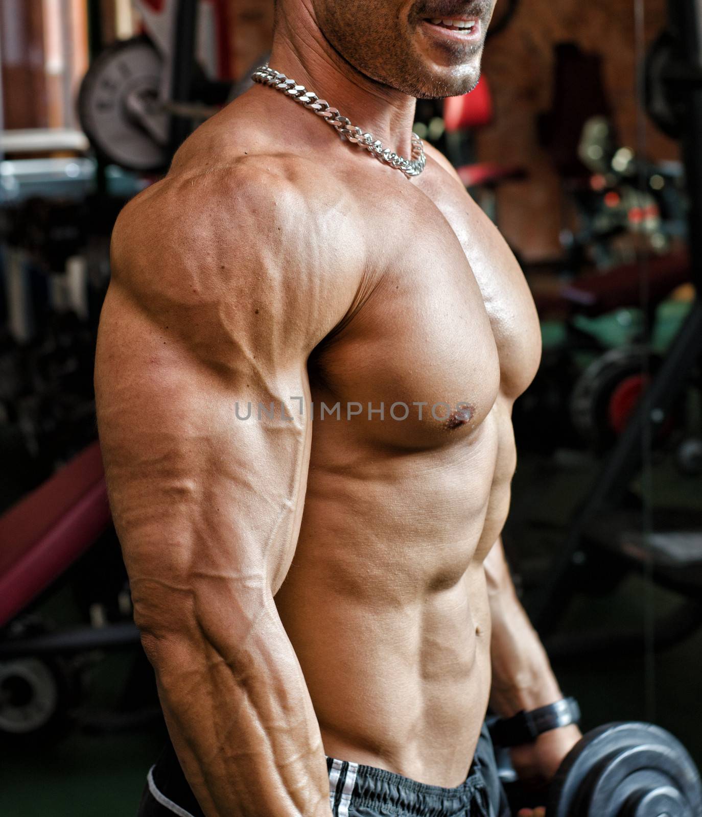 Torso of muscular male bodybuilder working out in gym with dumbells in his hands