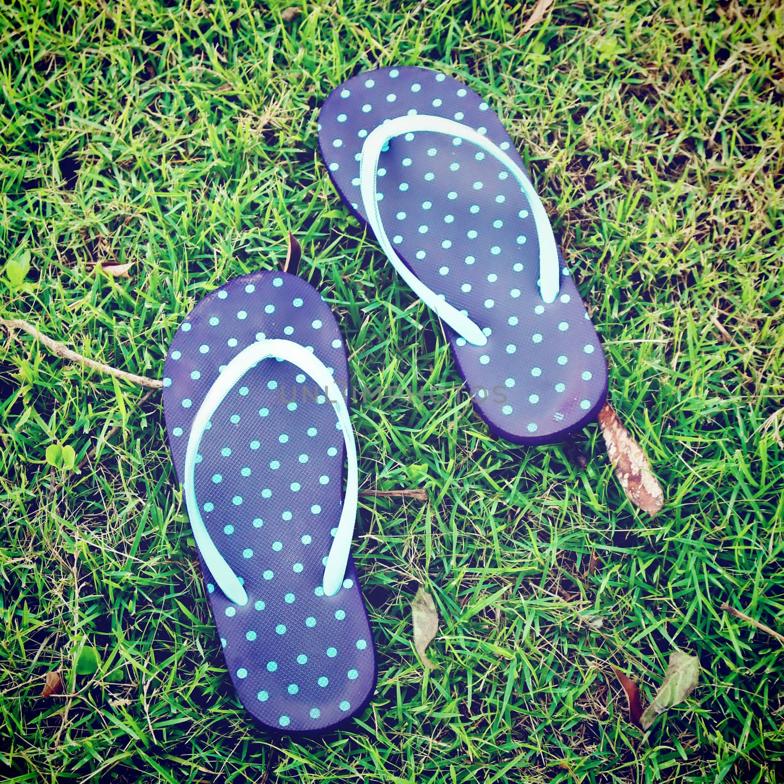 blue polka dot sandal on grass with retro filter effect