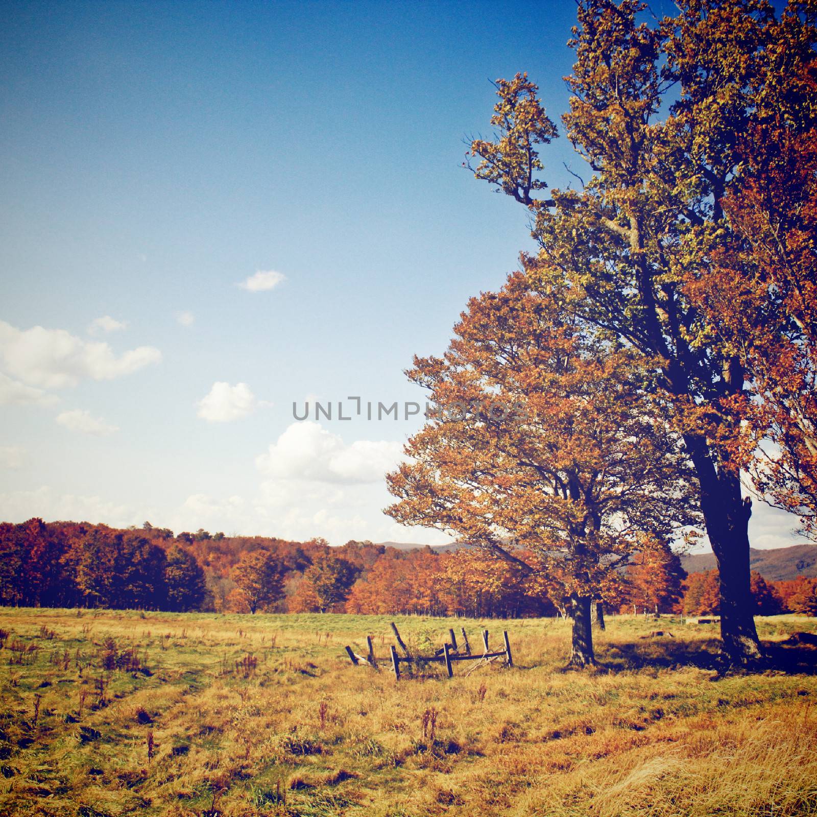 Welcome to autumn season with retro filter effect by nuchylee