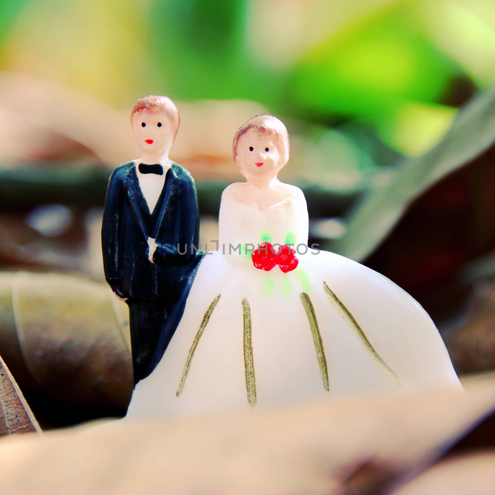 wedding couple doll on leaves ground with retro filter effect by nuchylee