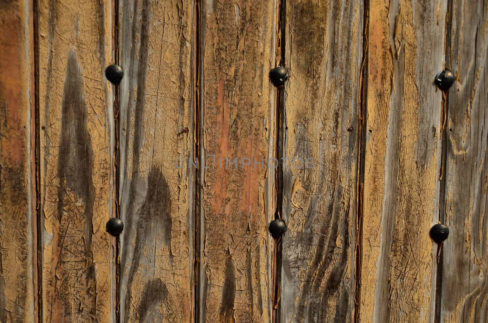 Heavy black bolts on an antique wooden door
