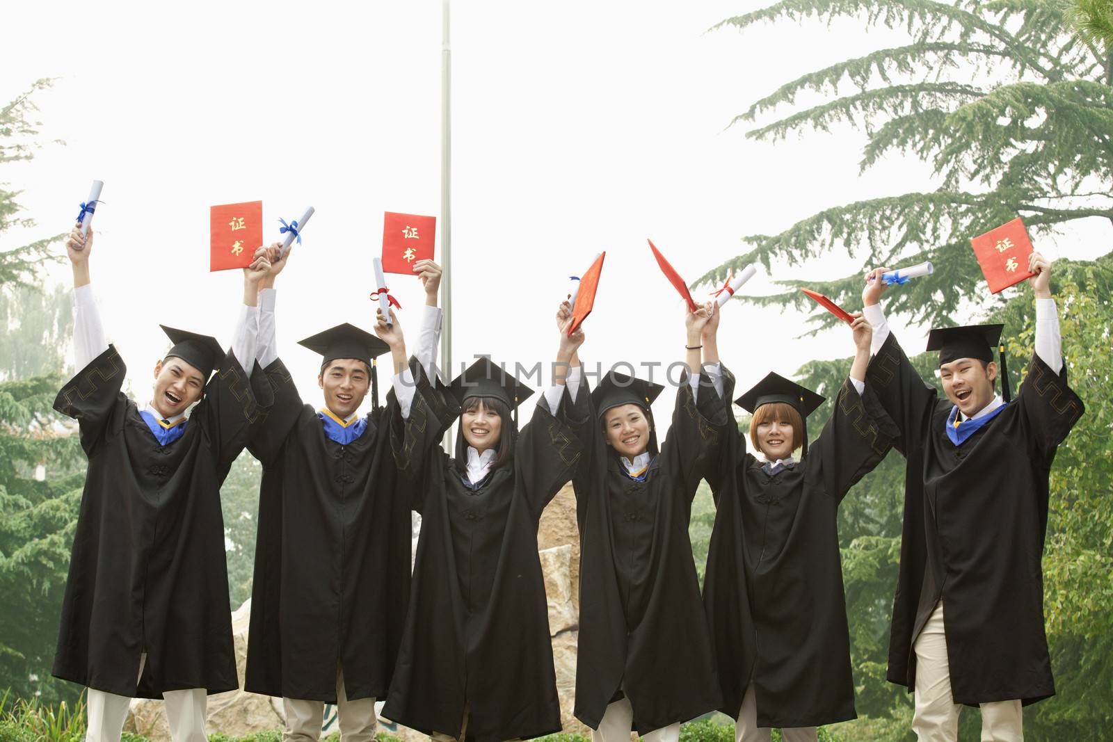 Young Group of University Graduates With Diplomas in Hand