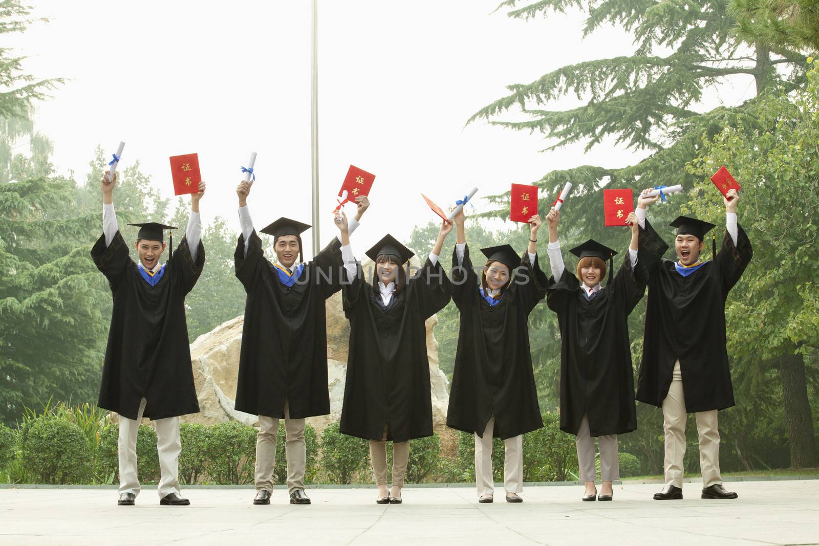 Young Group of University Graduates With Diplomas in Hand