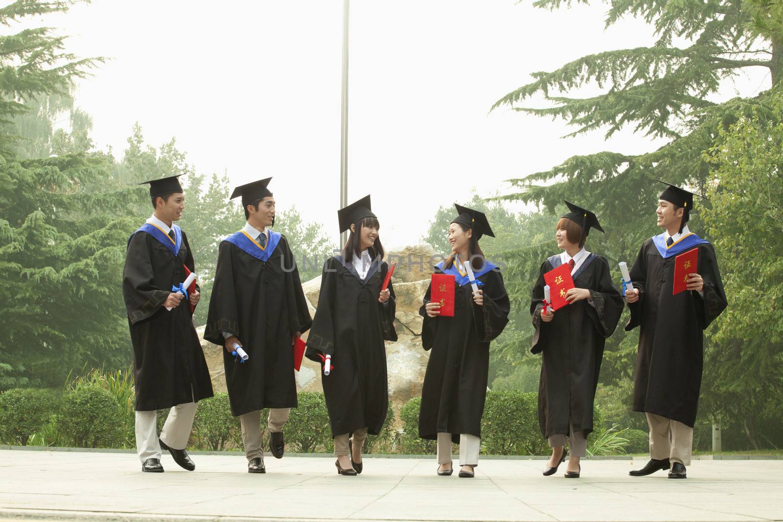 Young Group of University Graduates With Diplomas in Hand Looking at Each Other by XiXinXing