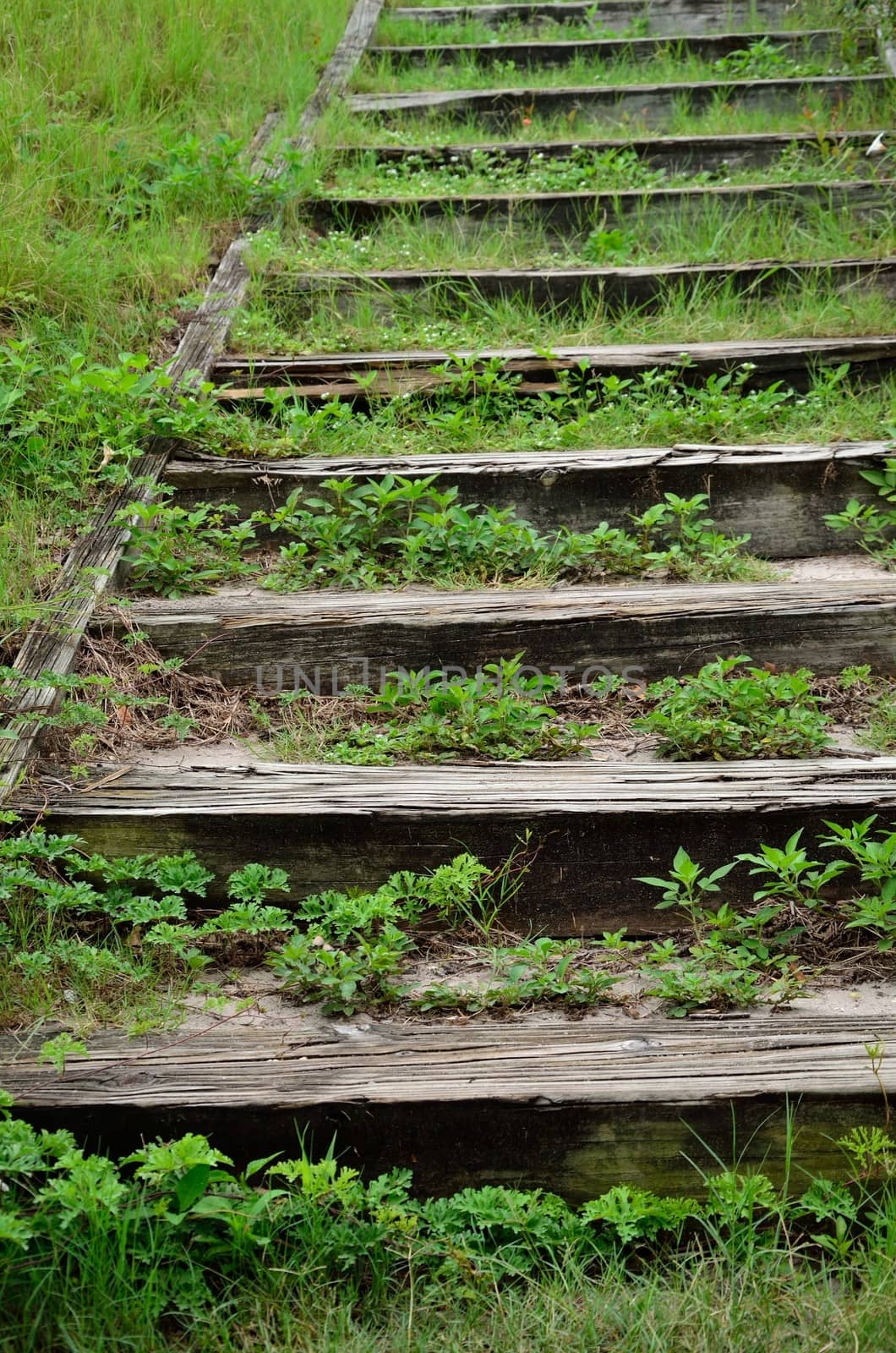 Wooden and earthen steps by jackie@debuskphoto.com
