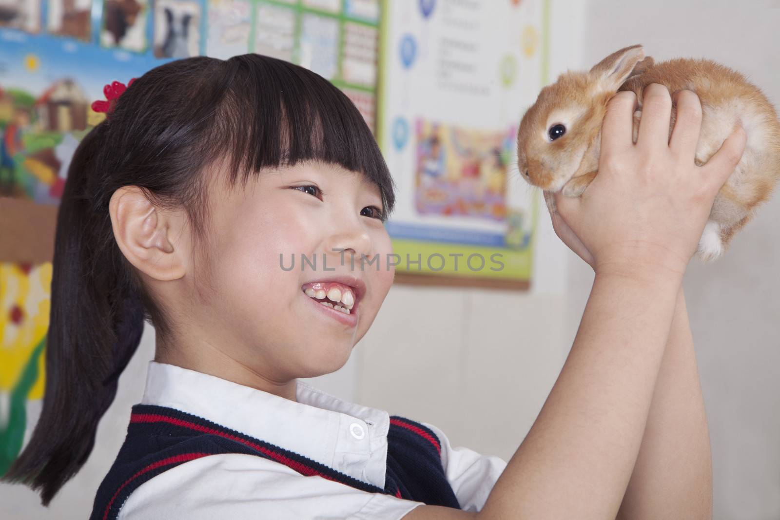 Schoolgirl holding pet rabbit in classroom