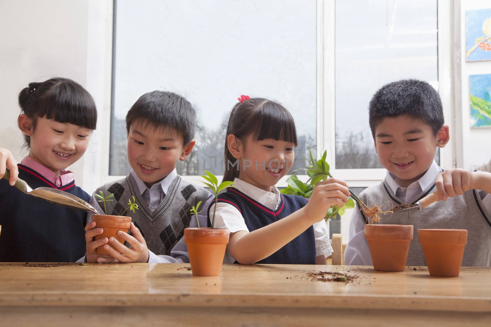 Schoolchildren planting plants into flowerpots in the classroom by XiXinXing