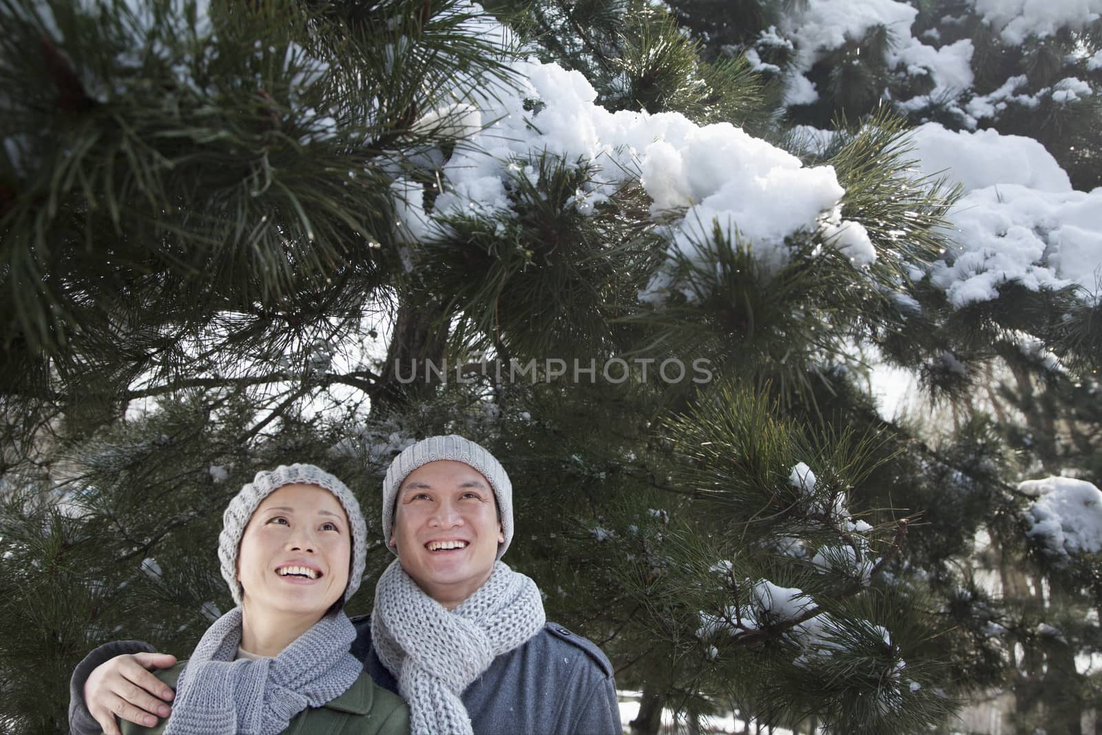 Smiling couple under tree covered in snow