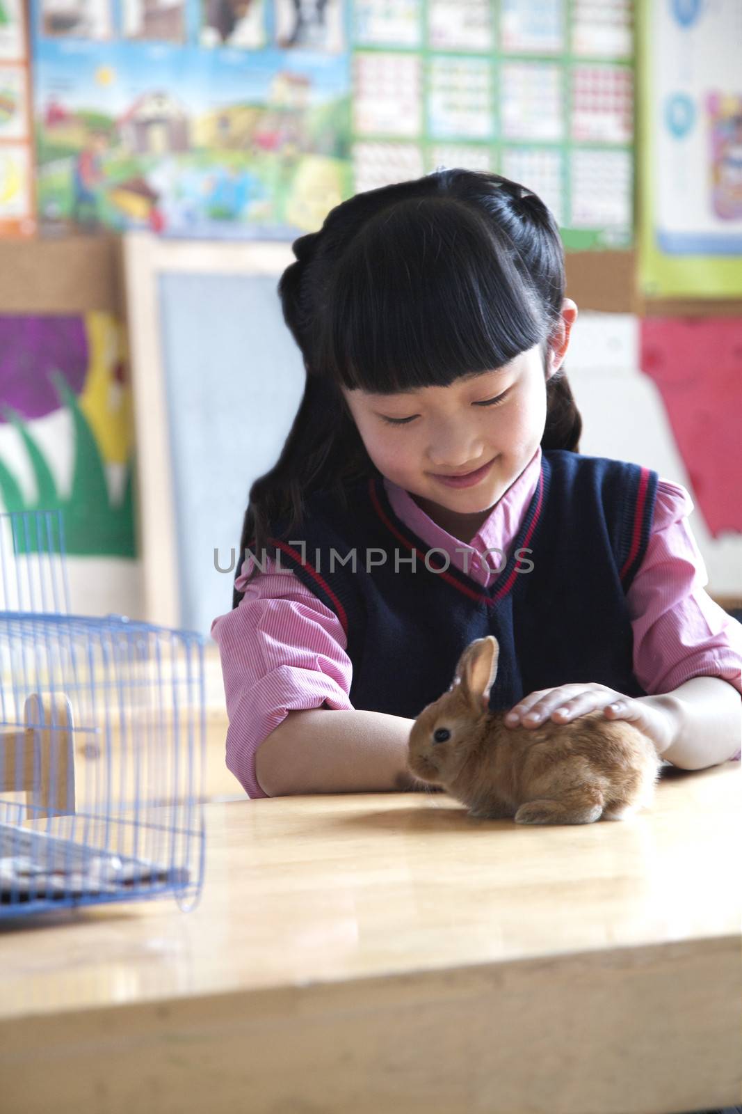Schoolgirl petting pet rabbit in classroom by XiXinXing