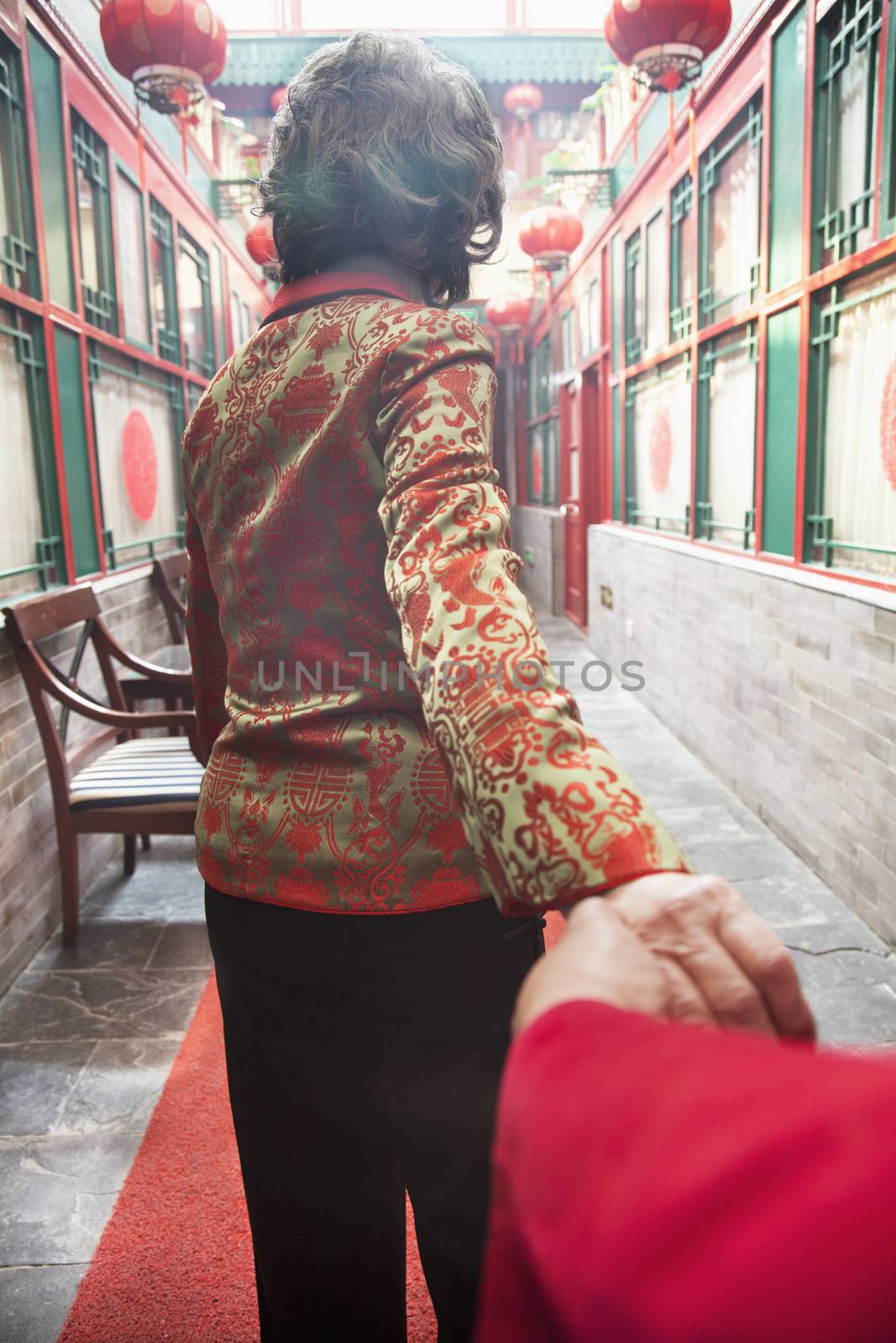 Senior couple holding hands, rear view