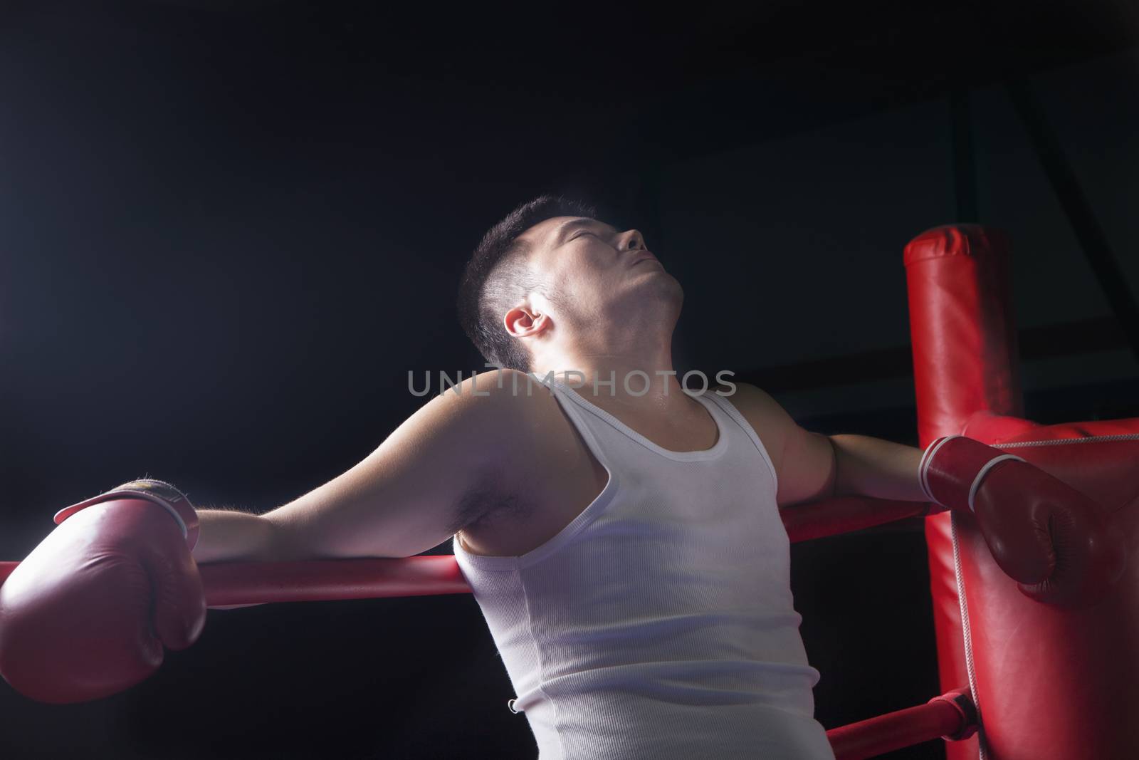 Tired boxer resting on the ropes in boxing ring, looking up