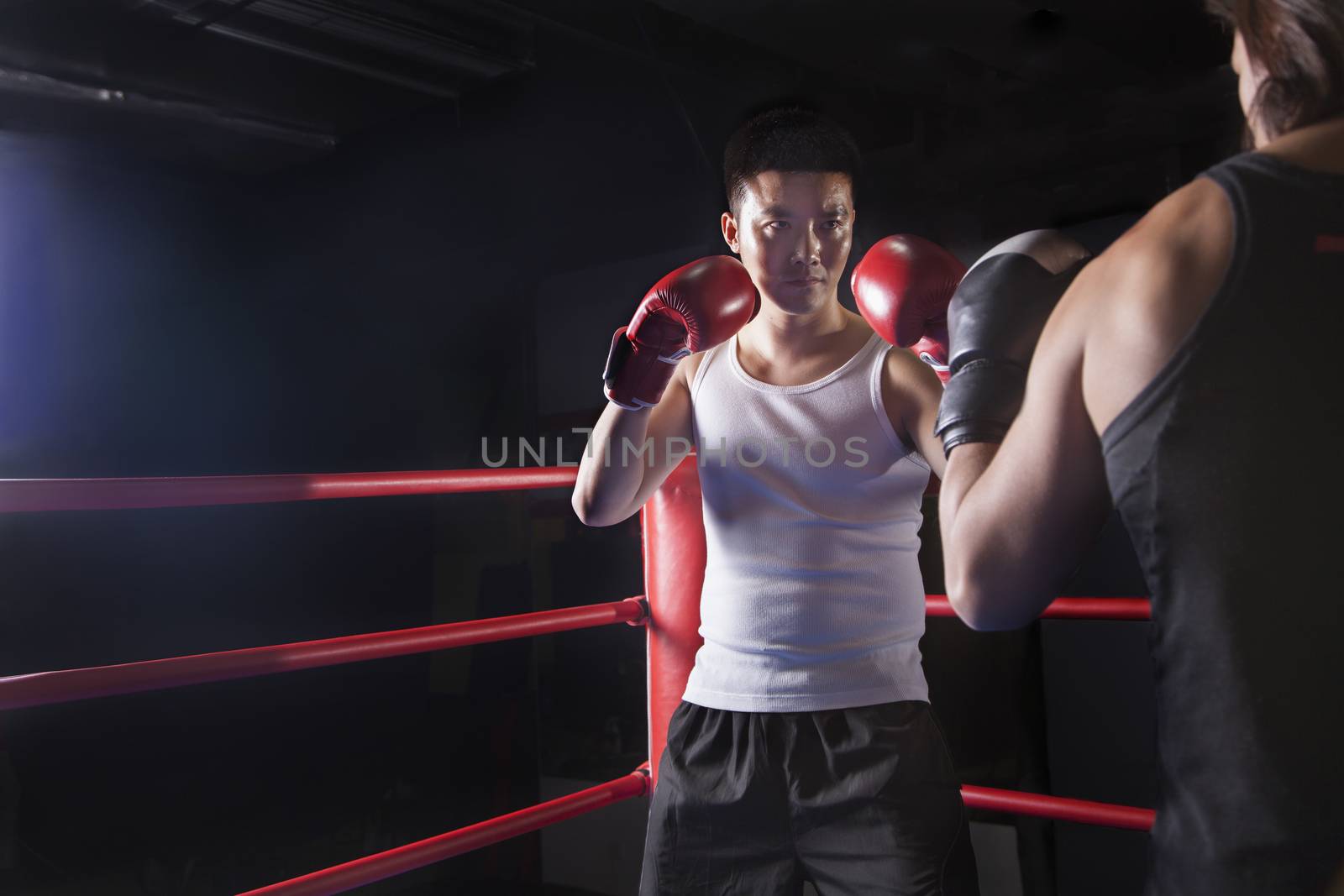 Over the shoulder view of two male boxers getting ready to box in the boxing ring in Beijing, China by XiXinXing