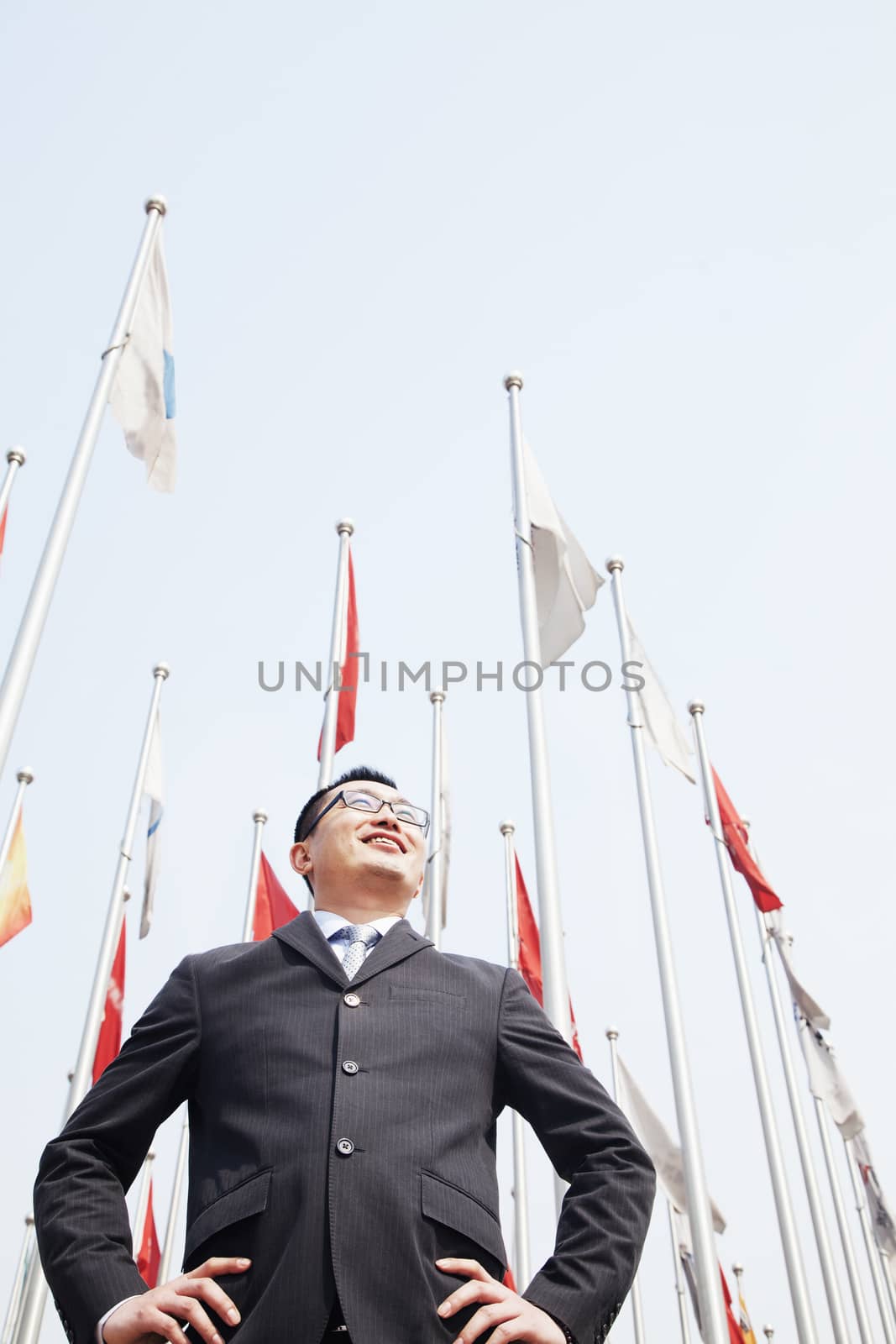 Portrait of smiling young businessman, flags in background