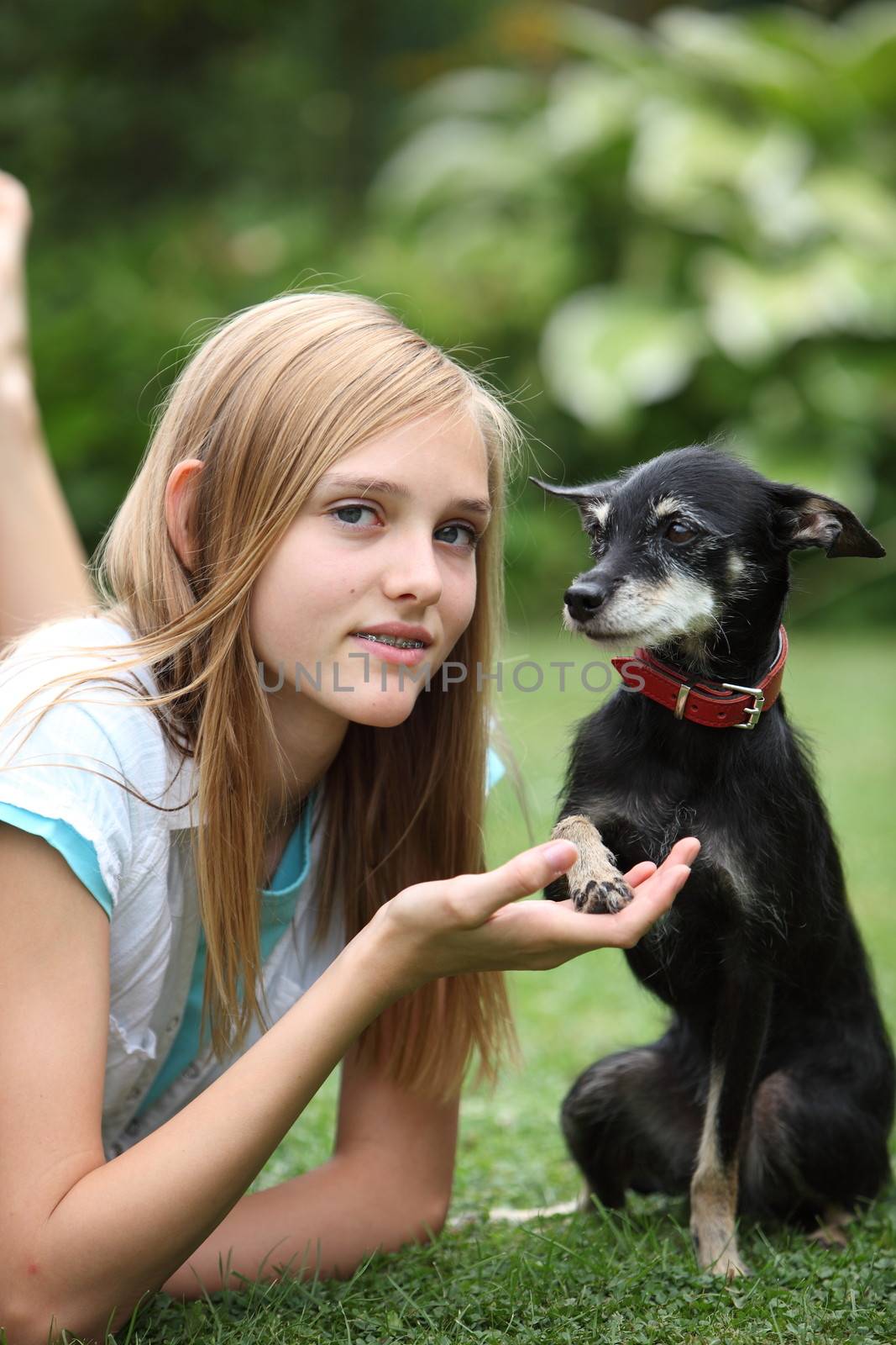 Loving little miniature pinscher dog sitting with its paw cupped in the hand of its owner, an attractive young teenage girl