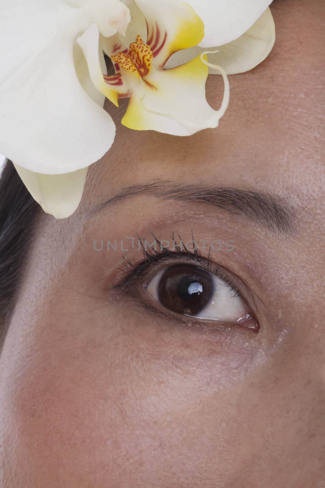 Extreme close up of eye and a white flower, studio shot