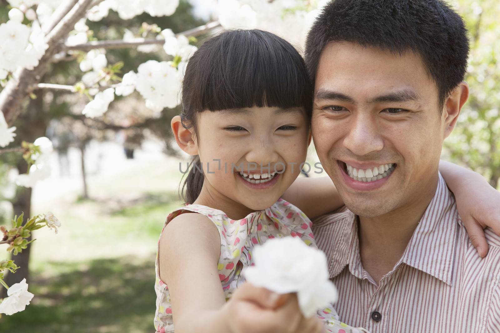 Smiling father and daughter enjoying the cherry blossoms on the tree in the park in springtime, daughter holding a flower by XiXinXing