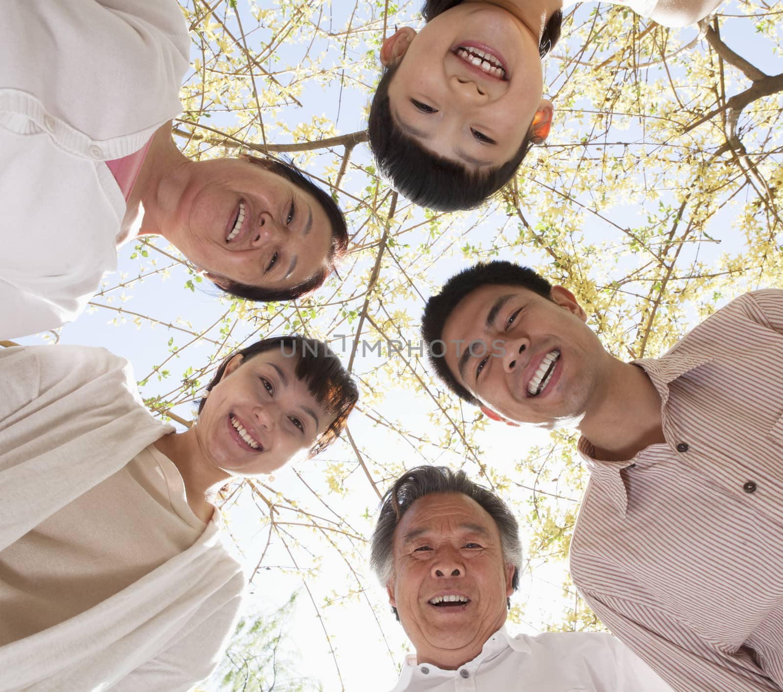 Happy smiling family in a circle looking down in a park in the springtime by XiXinXing