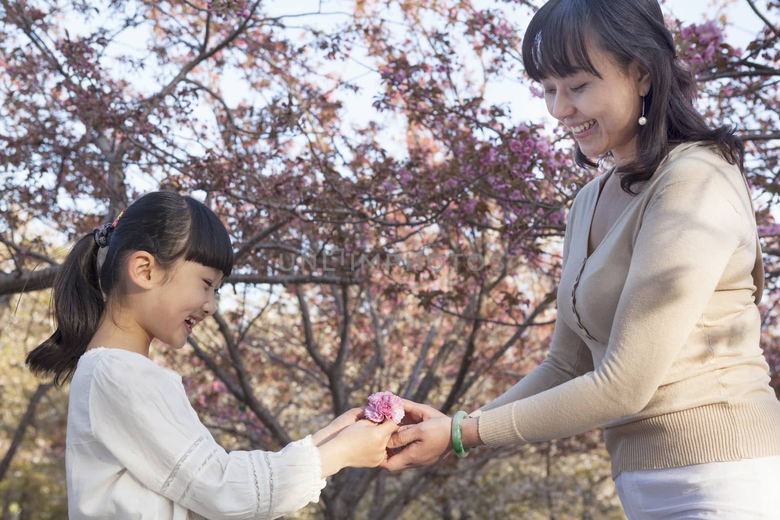 Smiling mother giving her daughter a cherry blossom outside in the park in the springtime, Beijing