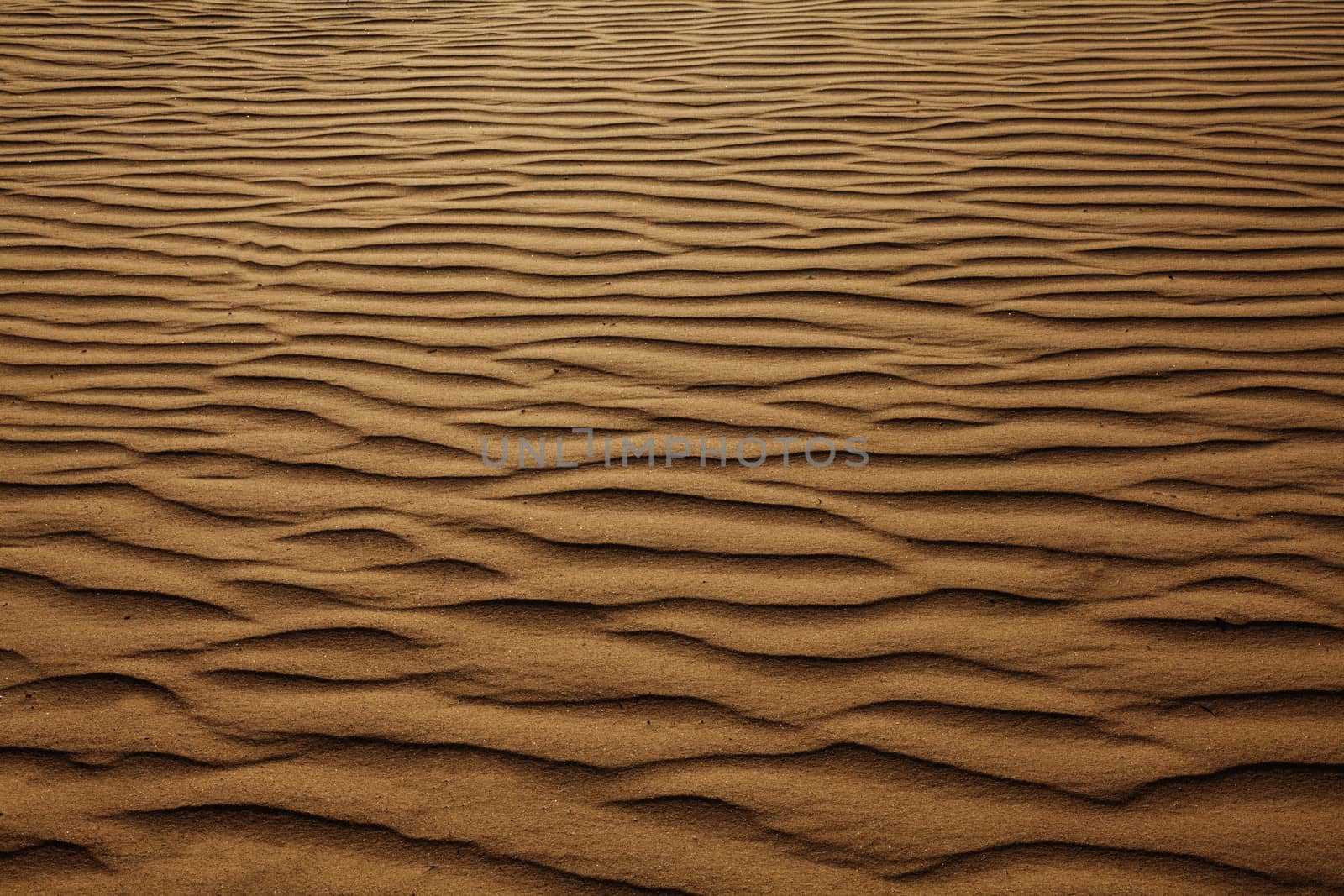 Texture background of wind pattern on sand dunes, full frame