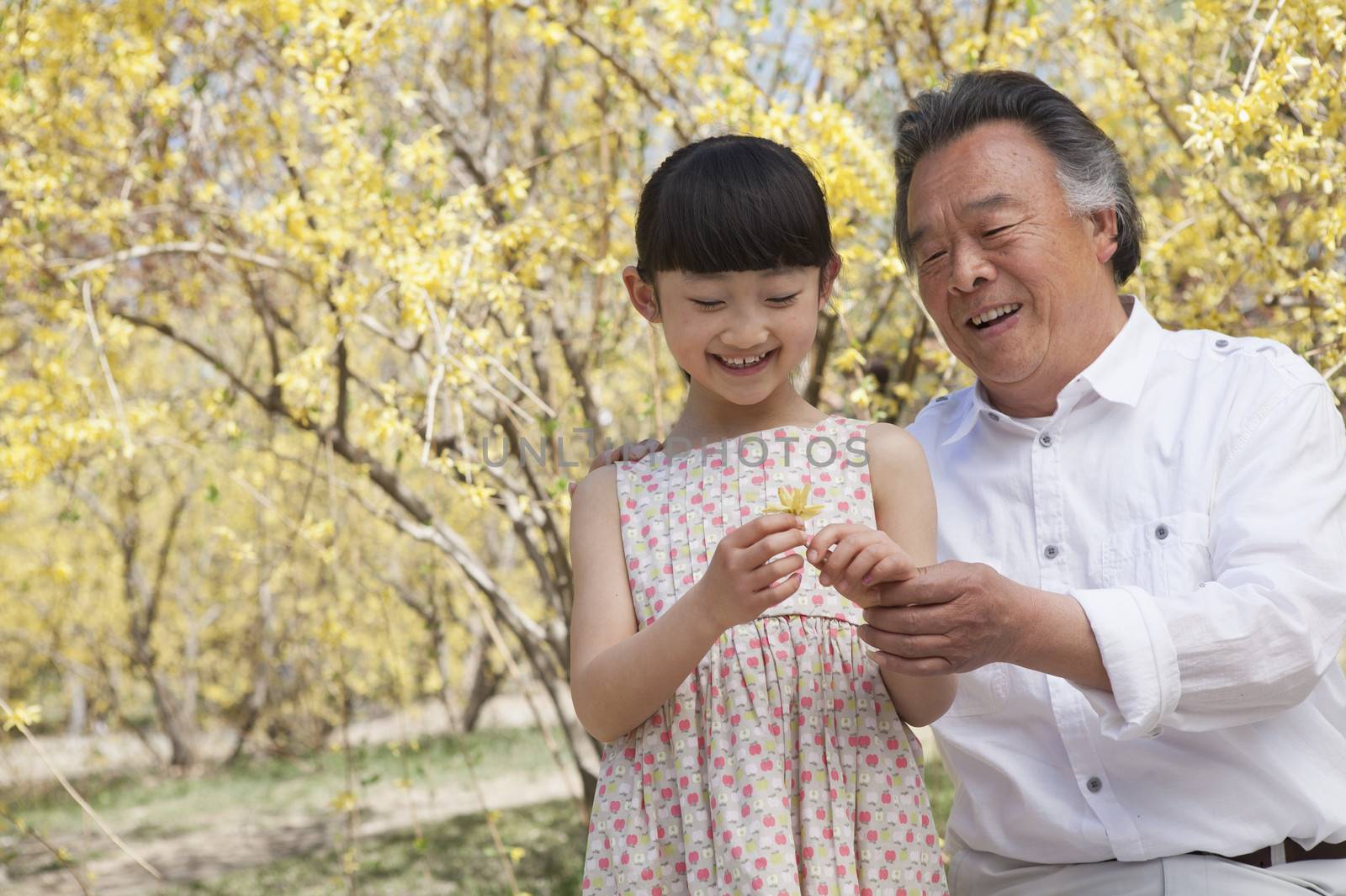 Smiling girl and her grandfather looking at a flower in the park in springtime