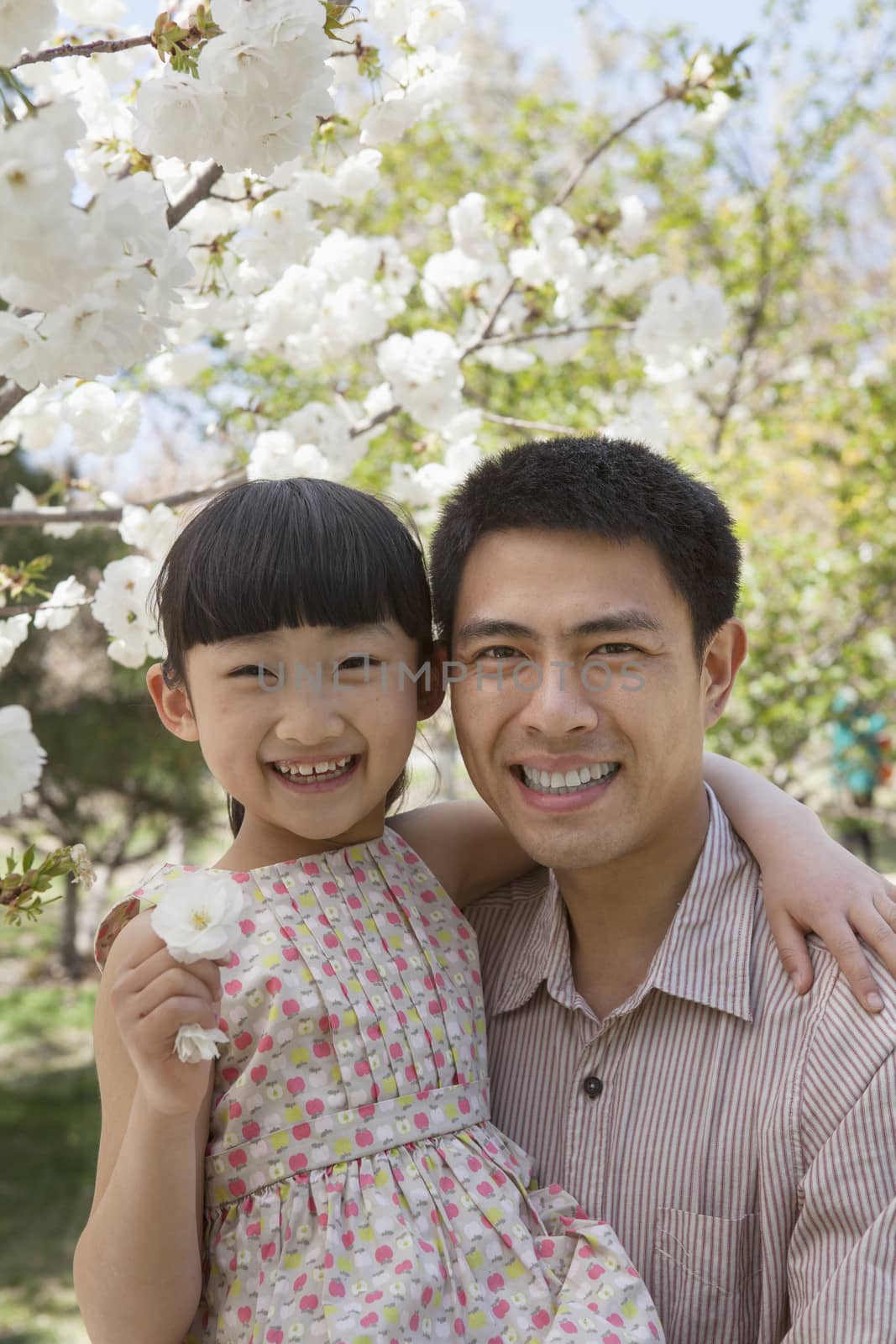 Smiling father and daughter enjoying the cherry blossoms on the tree in the park in springtime, portrait