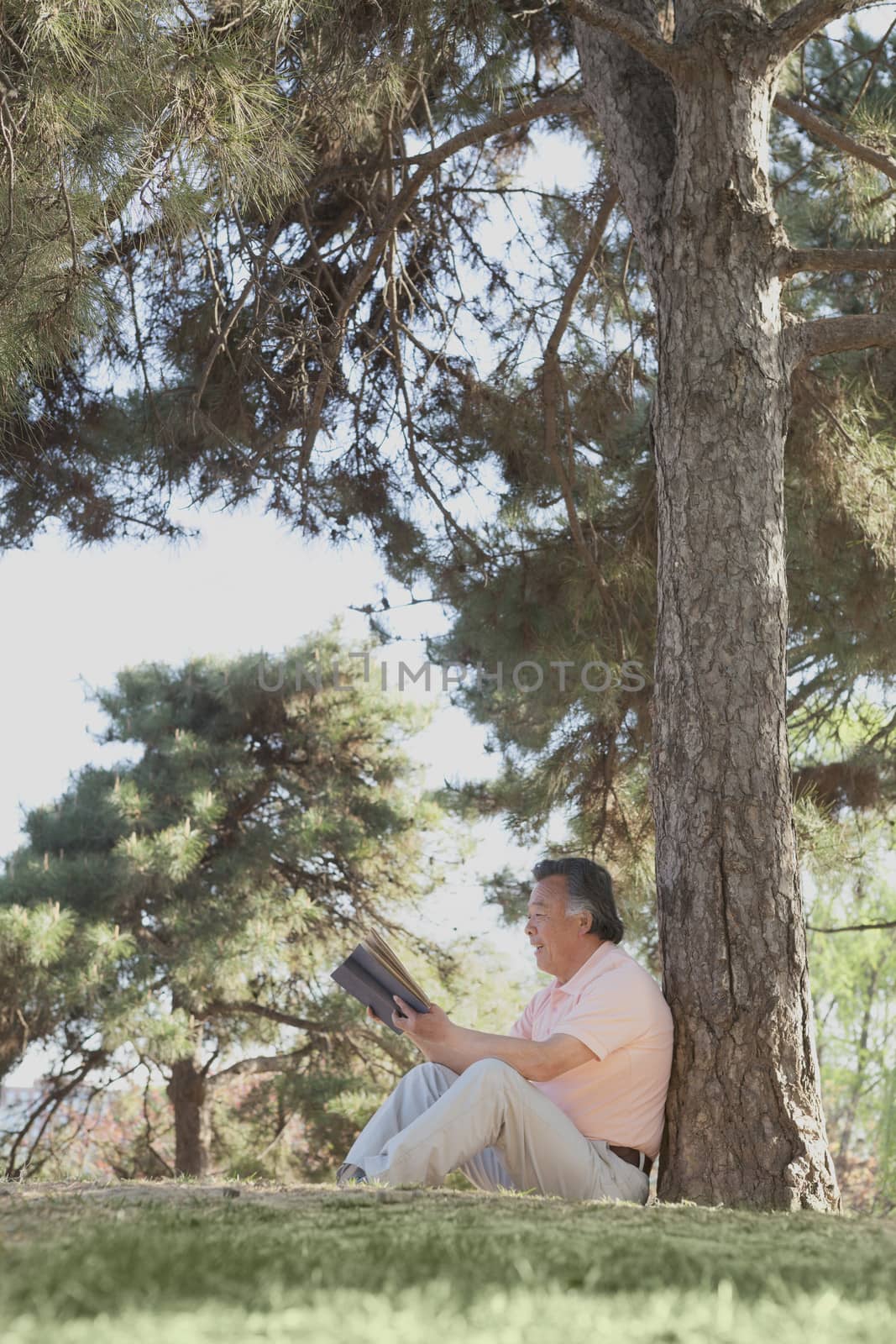 Senior man relaxing under a tree and reading a book in a park in the springtime, Beijing by XiXinXing