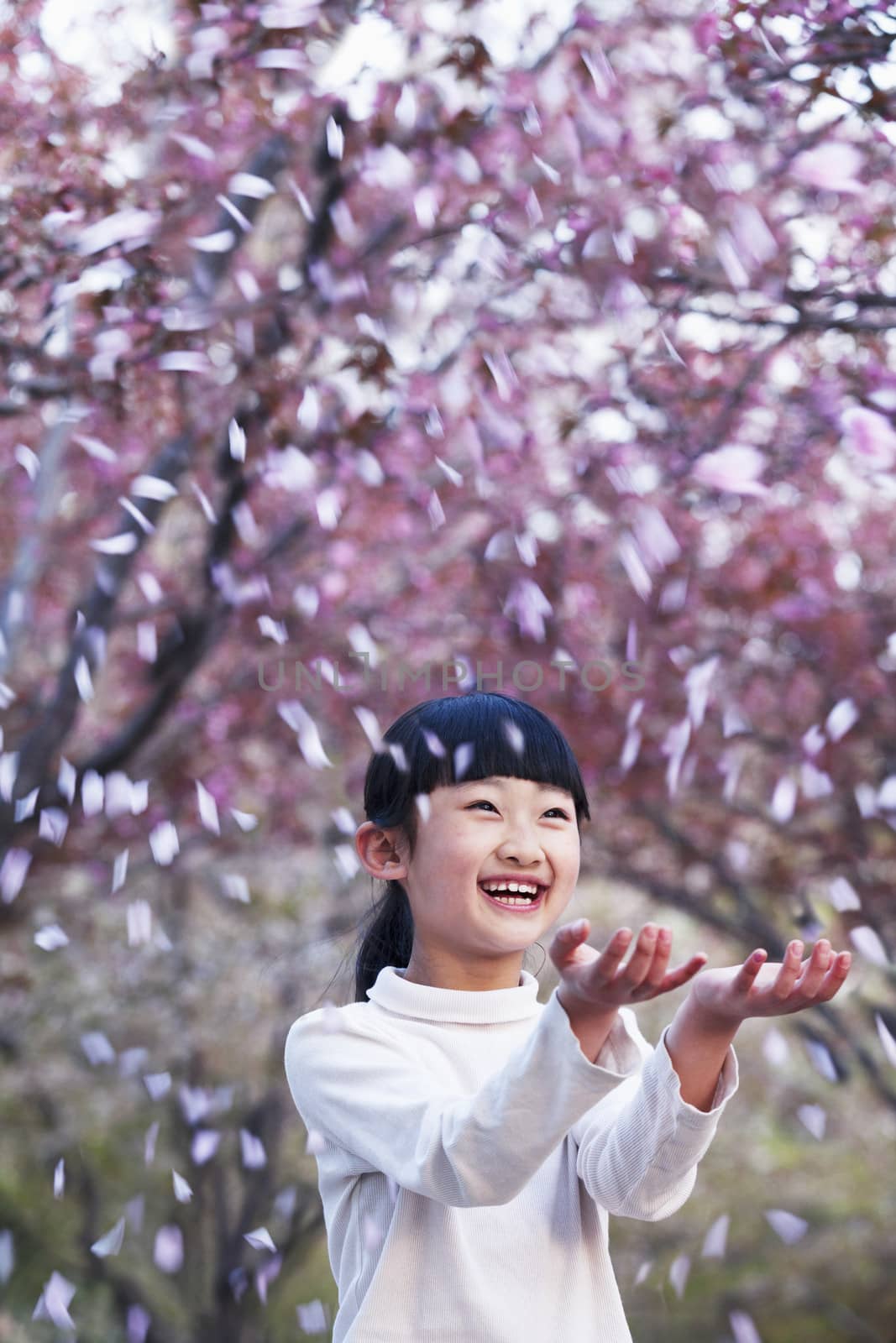 Happy young girl throwing cherry blossom petals in the air outside in a park in springtime by XiXinXing