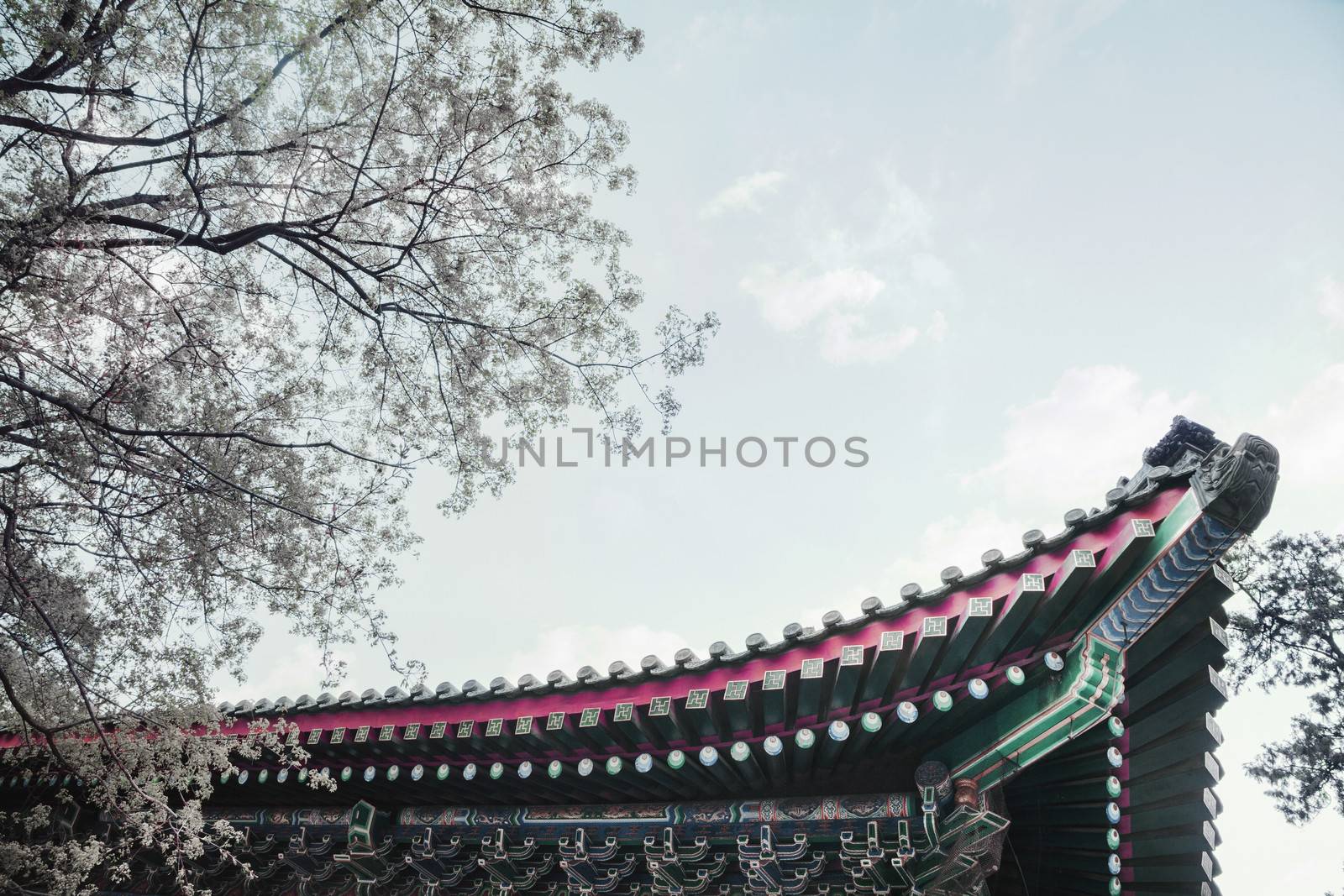 Close-up of ornate roof tiles on Chinese building.  by XiXinXing