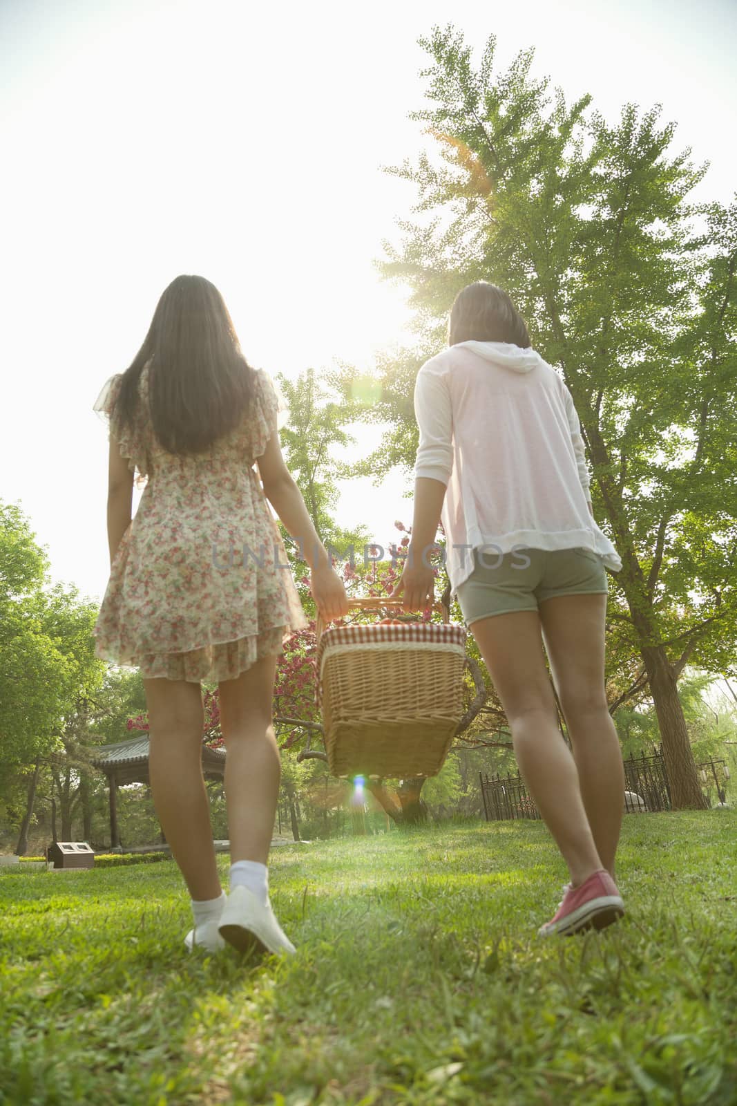 Two friends walking into a park to have a picnic and carrying a picnic basket on a spring day, rear view