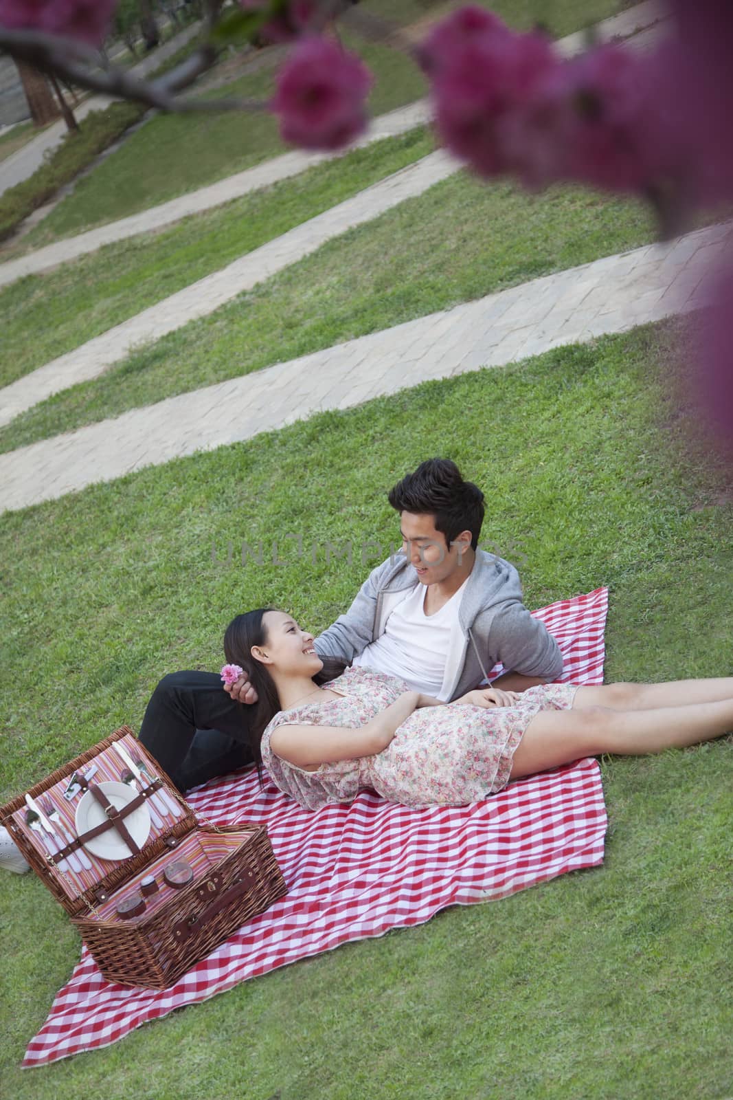 Young happy couple lying on a blanket together while having a picnic in the park, blossoms in the foreground by XiXinXing
