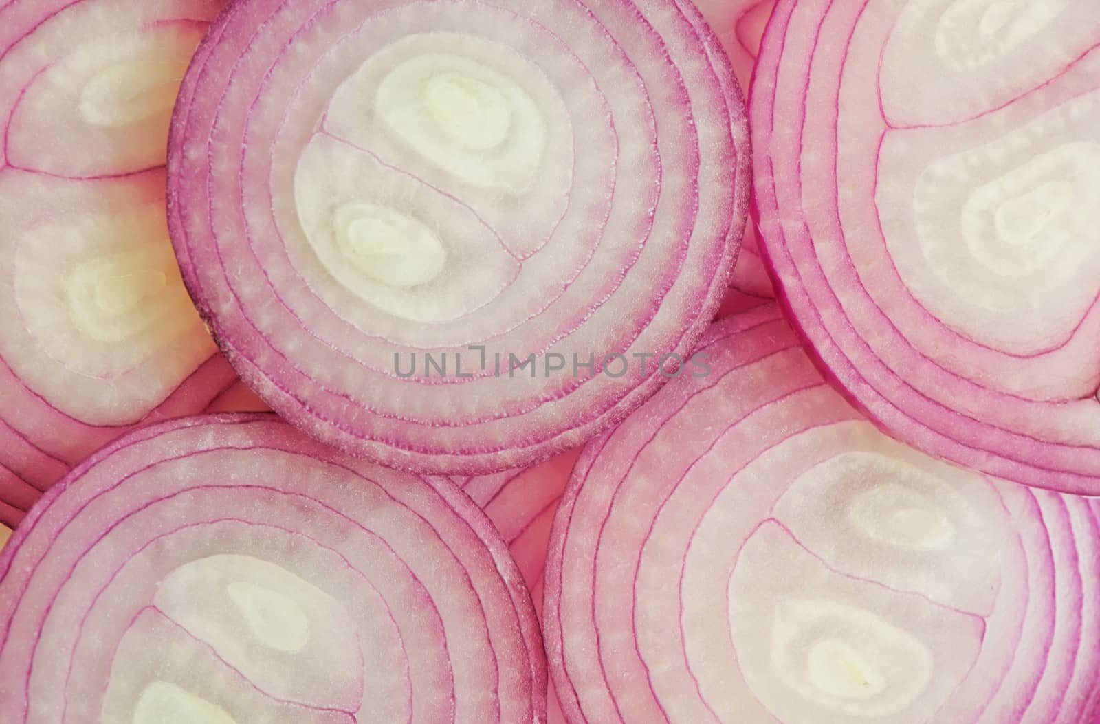 background of red onion slices, macro