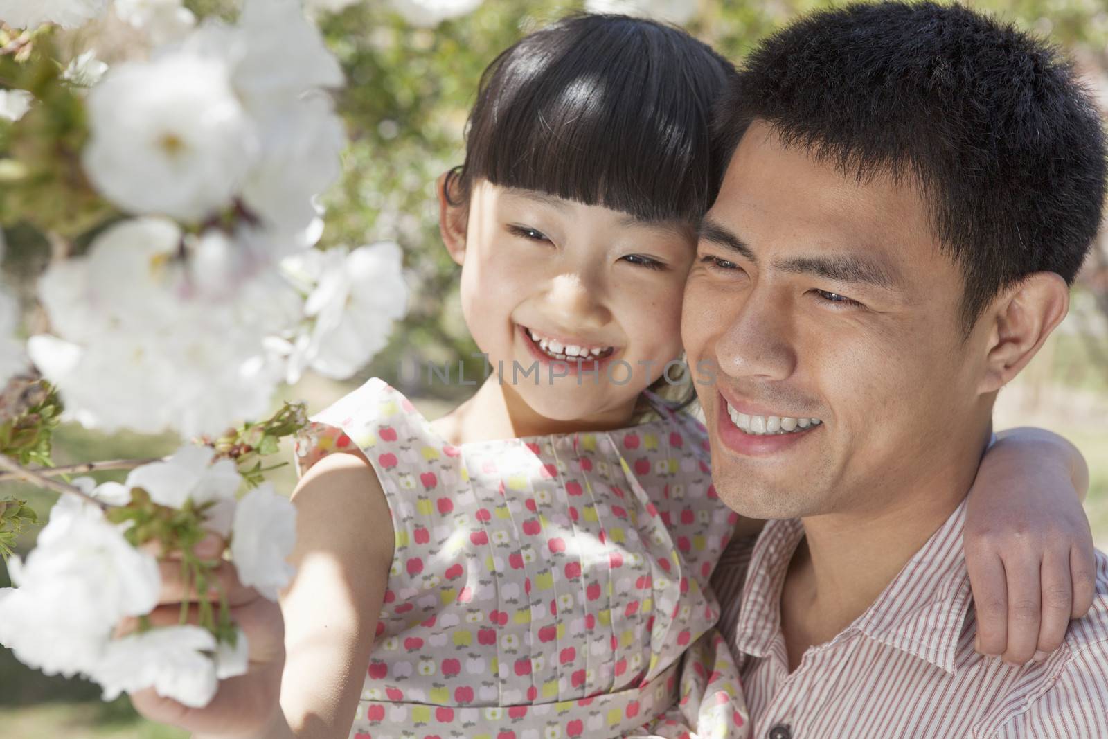 Smiling father and daughter enjoying the cherry blossoms on the tree in the park in springtime