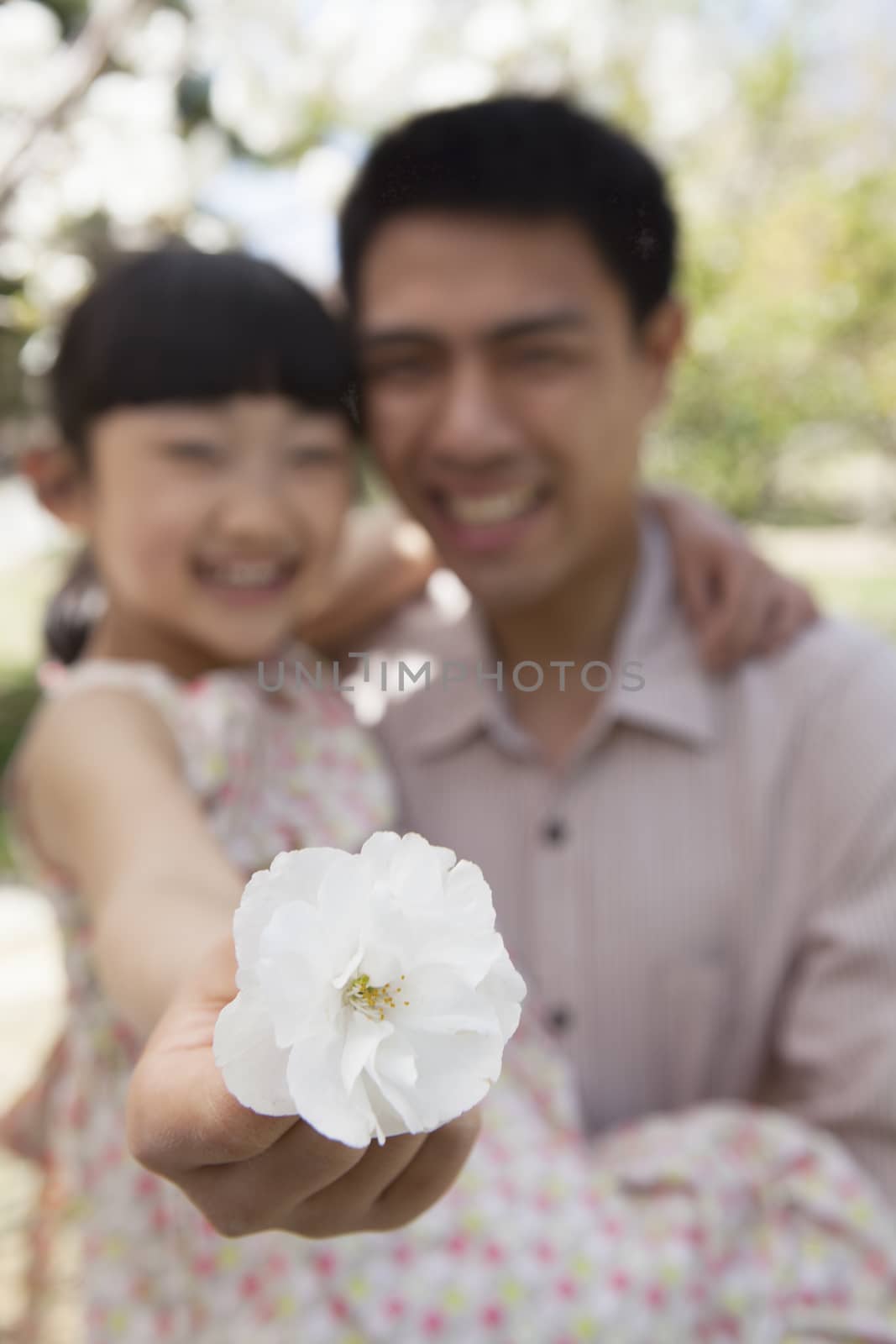 Daughter holding a cherry blossom close to the camera with her father in the park in springtime