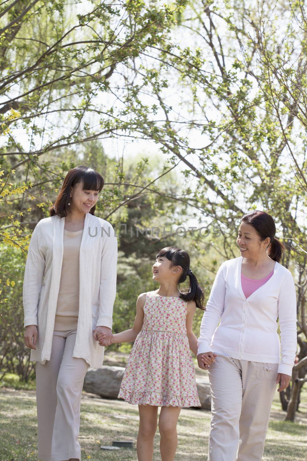 Multi-generational family, grandmother, mother, and daughter holding hands and going for a walk in the park in springtime by XiXinXing