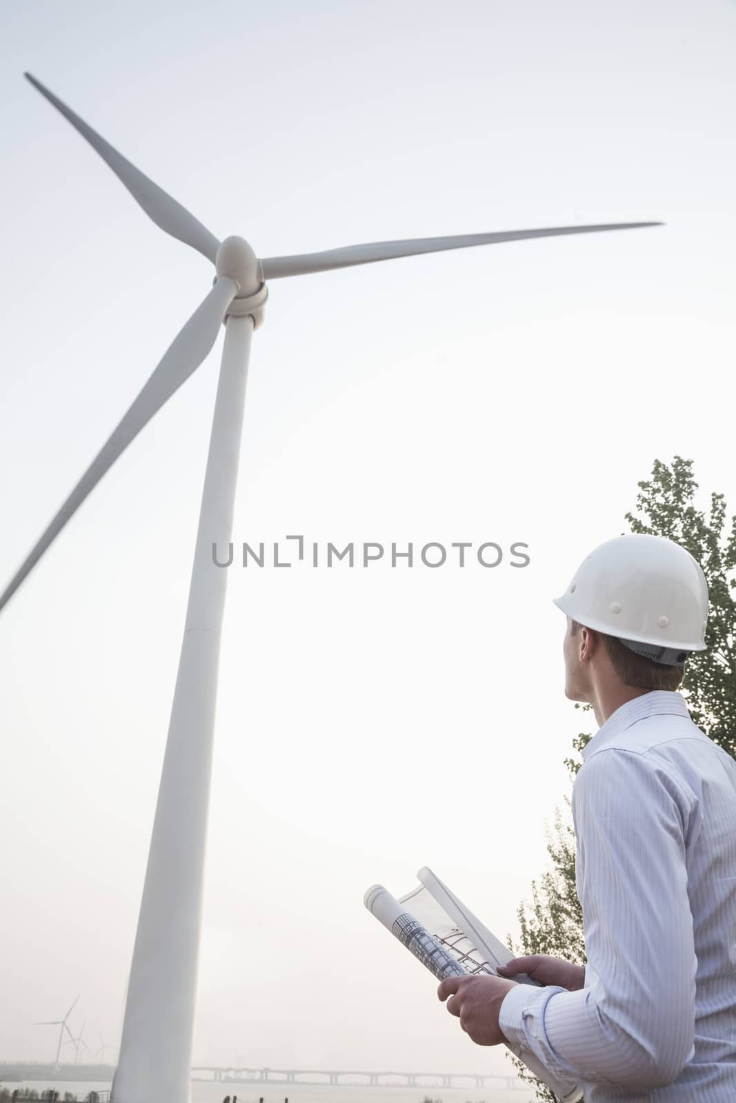 Young male engineer in a hardhat looking up at a wind turbine, blueprint in hand by XiXinXing