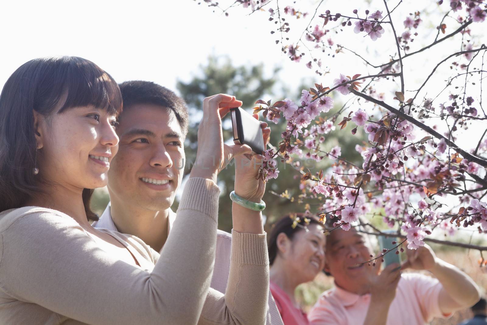 Smiling couple taking a photograph of a branch with cherry blossoms, outside in a park in the springtime by XiXinXing