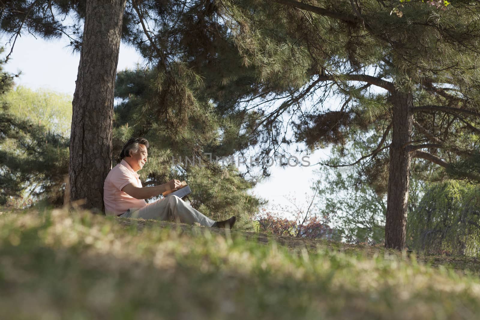Senior man relaxing under a tree and reading a book in a park in the springtime, Beijing by XiXinXing