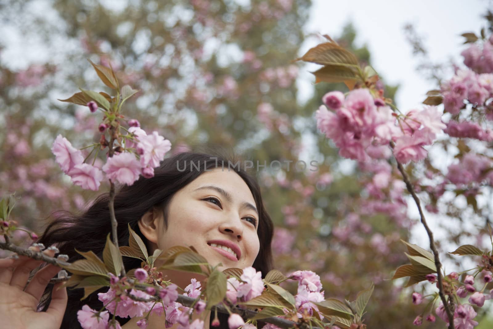 Portrait of smiling and serene young woman by beautiful pink blossoms, in the park in springtime