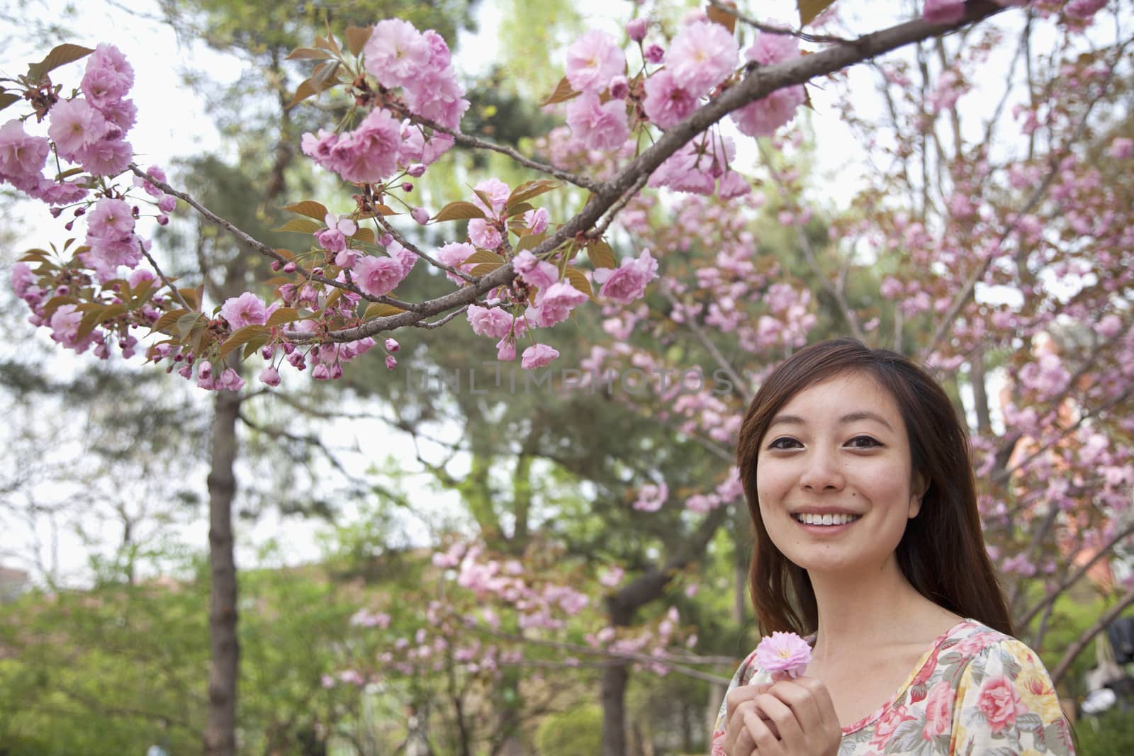 Portrait of smiling young woman under a blossoming tree holding a pink blossom in the park in springtime by XiXinXing