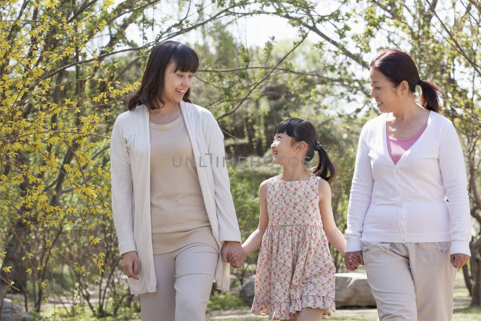 Multi-generational family, grandmother, mother, and daughter holding hands and going for a walk in the park in springtime