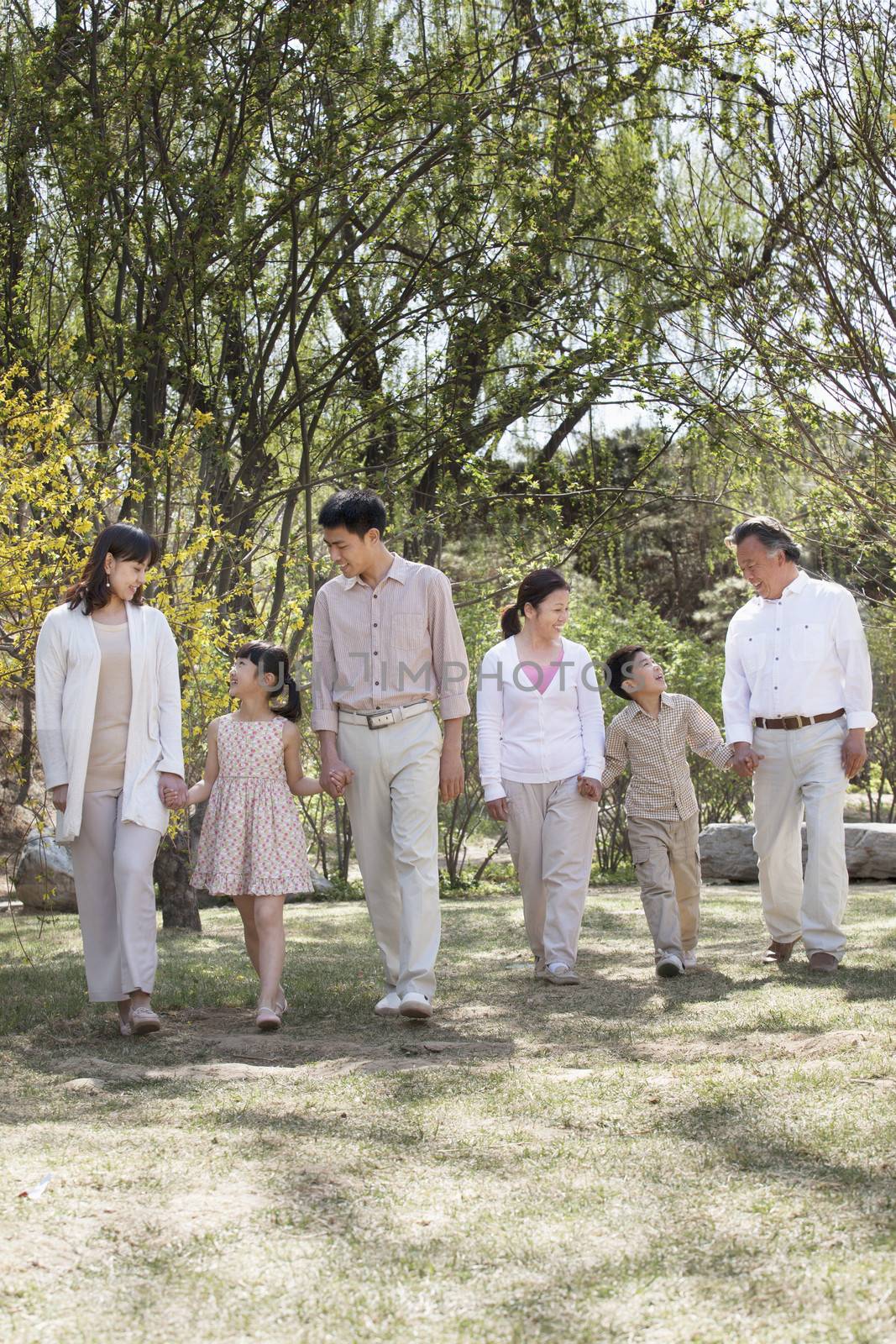 Happy smiling family holding hands and going for a walk in the springtime, standing in a row by XiXinXing