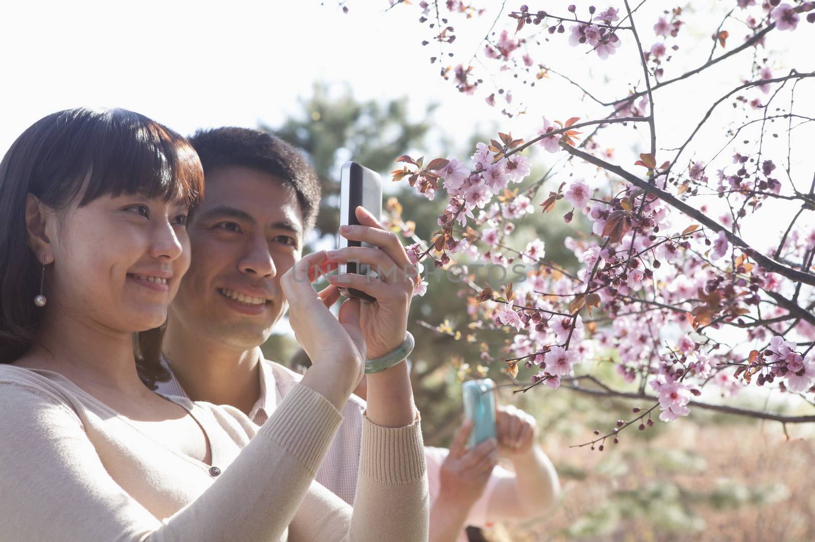 Smiling couple taking a photograph of a branch with cherry blossoms, outside in a park in the springtime