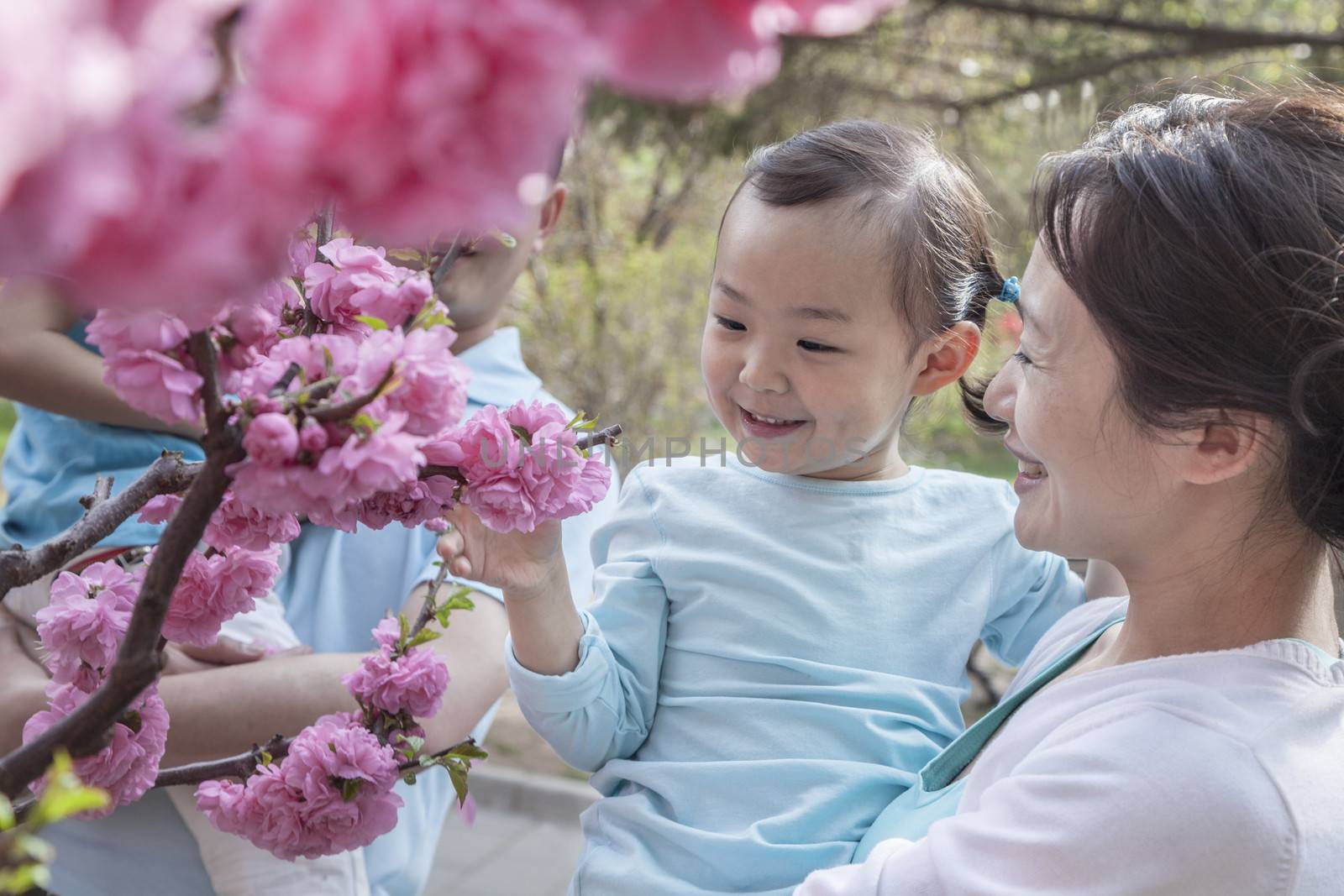 Mother holding daughter and looking at cherry blossoms.