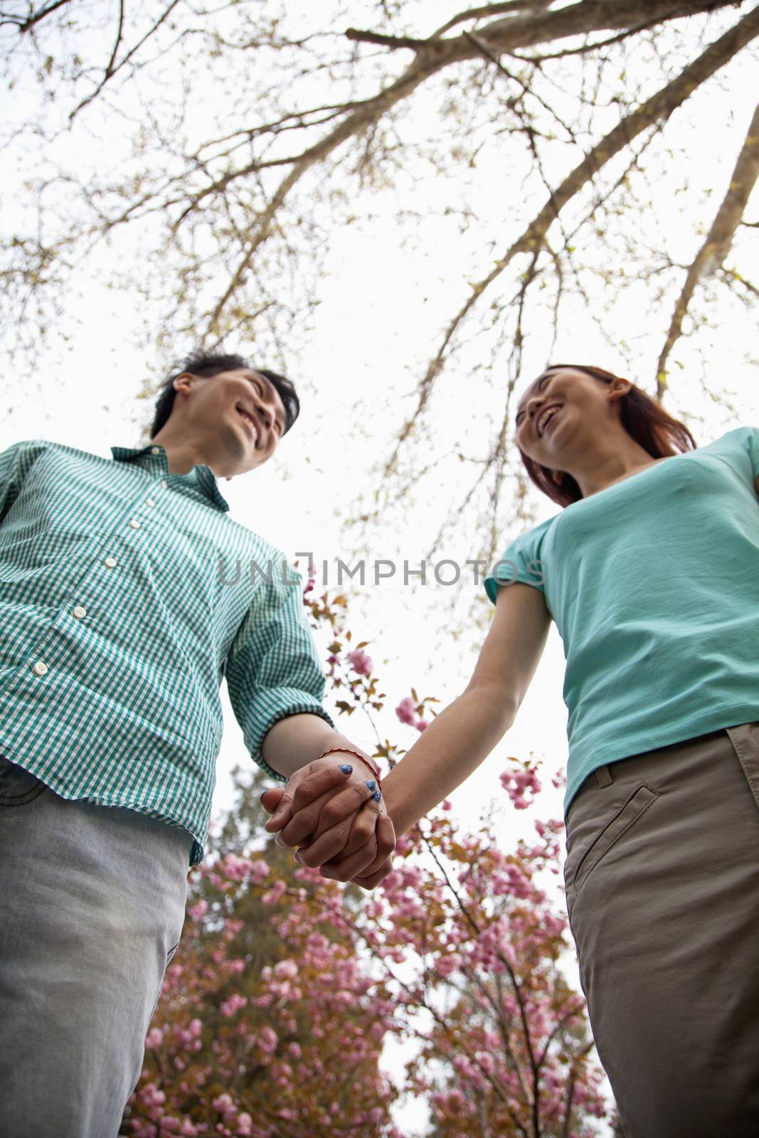 Happy smiling young couple holding hands in the park in springtime, low angle view