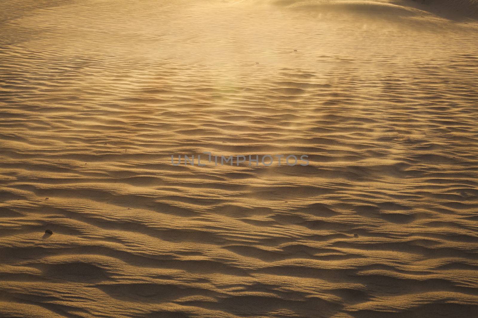 Landscape shot of the desert and the wind pattern on the sand, full frame