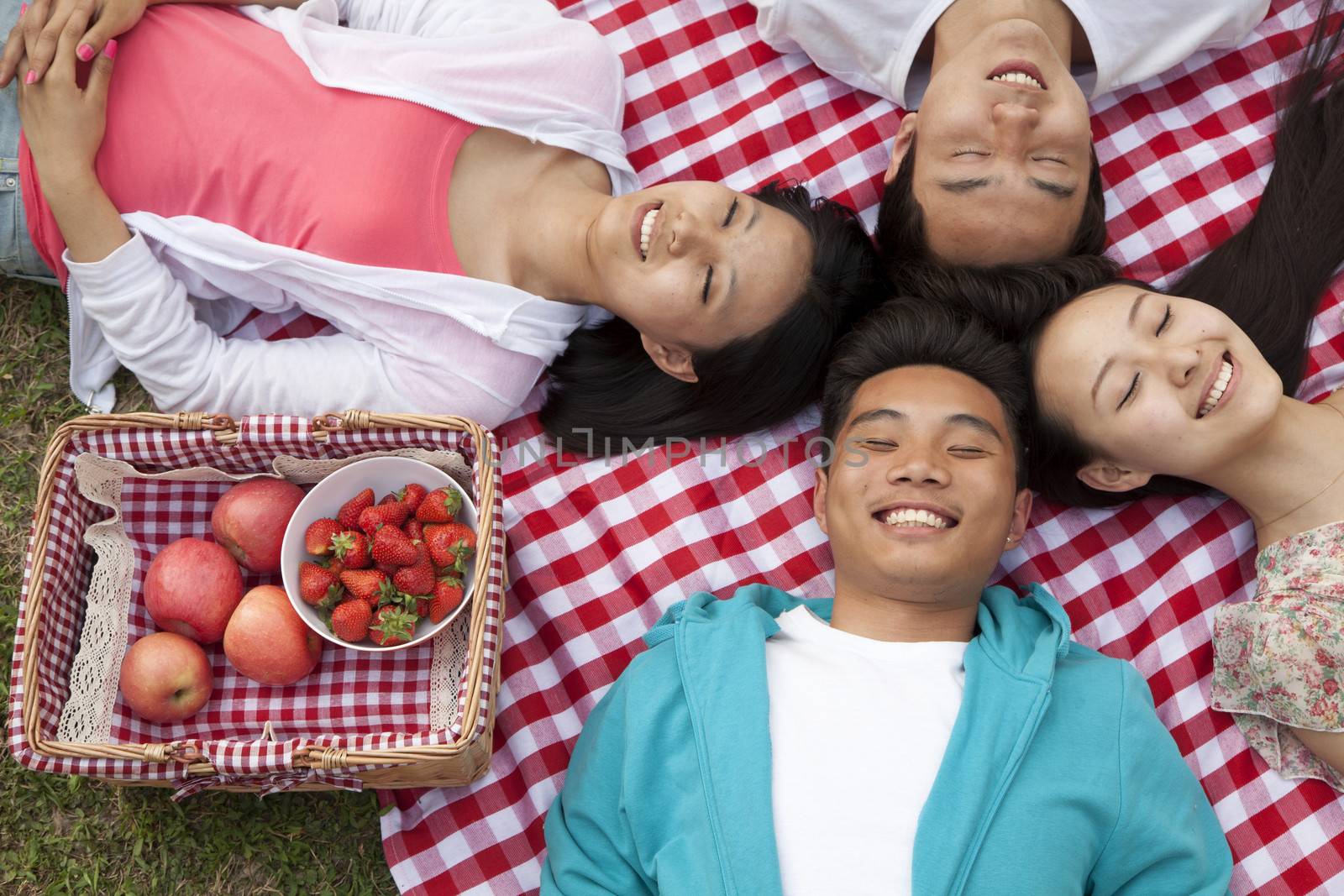 Four smiling young friends with heads touching and lying on their backs having a picnic in the park