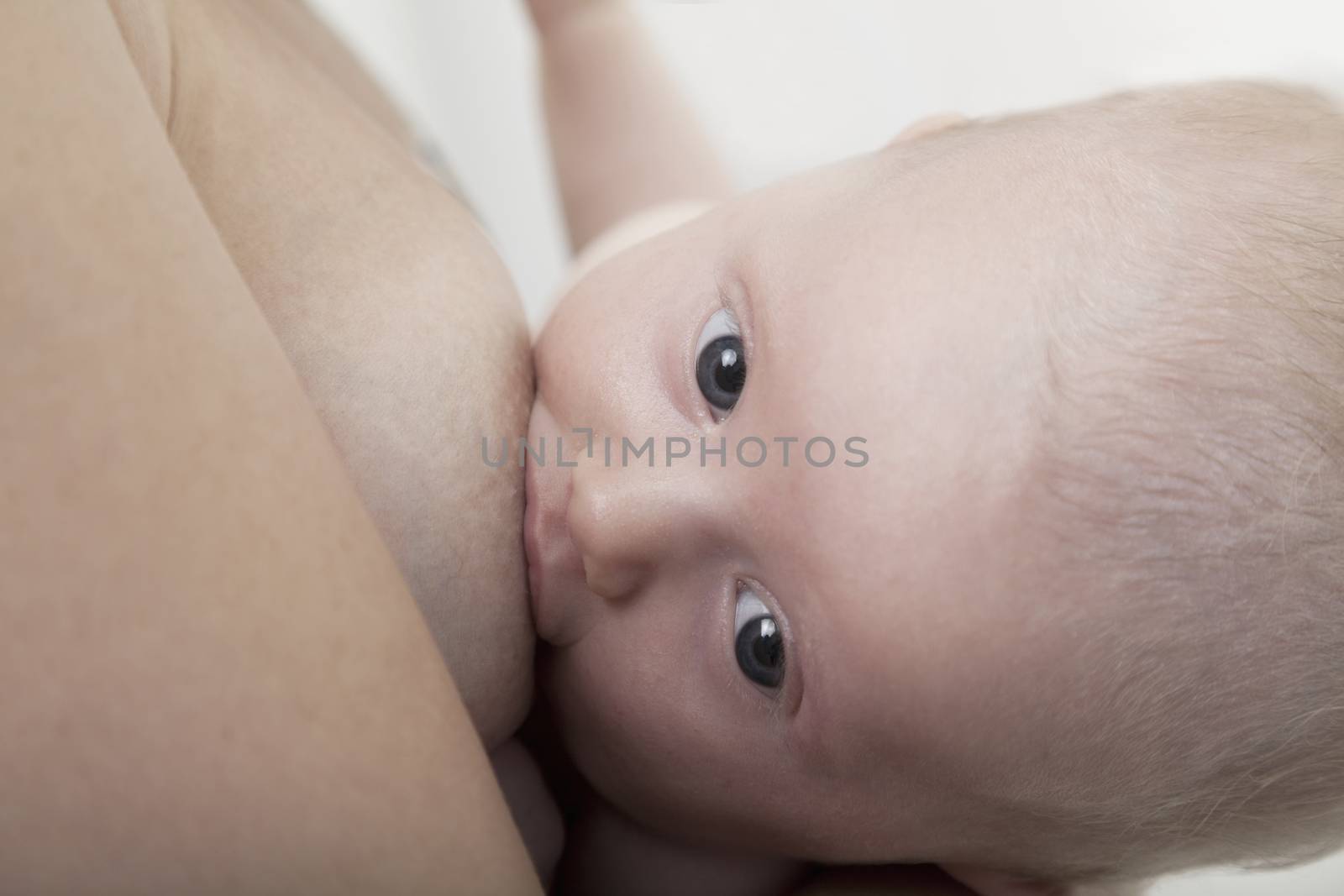 Close-up of baby breastfeeding